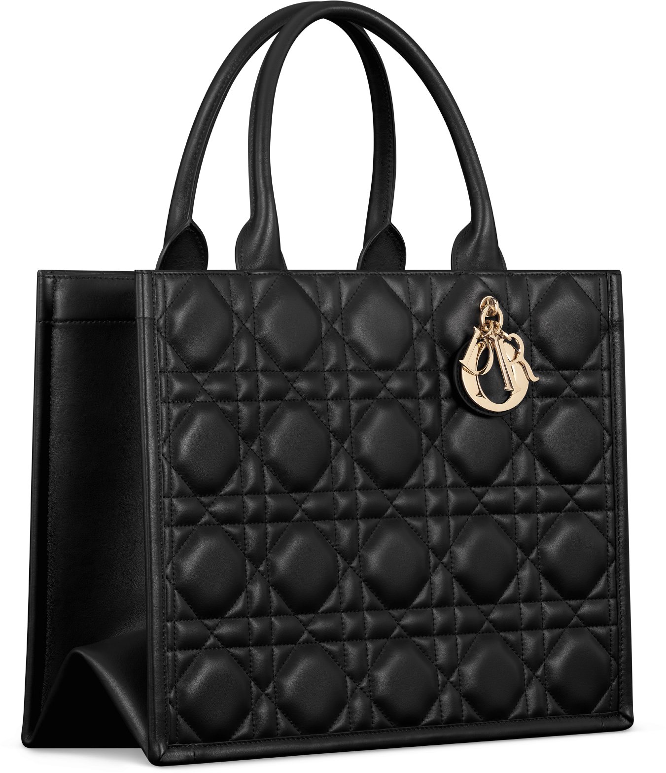 디올 미디엄 Dior 북 토트백 M1324OWHP_M900