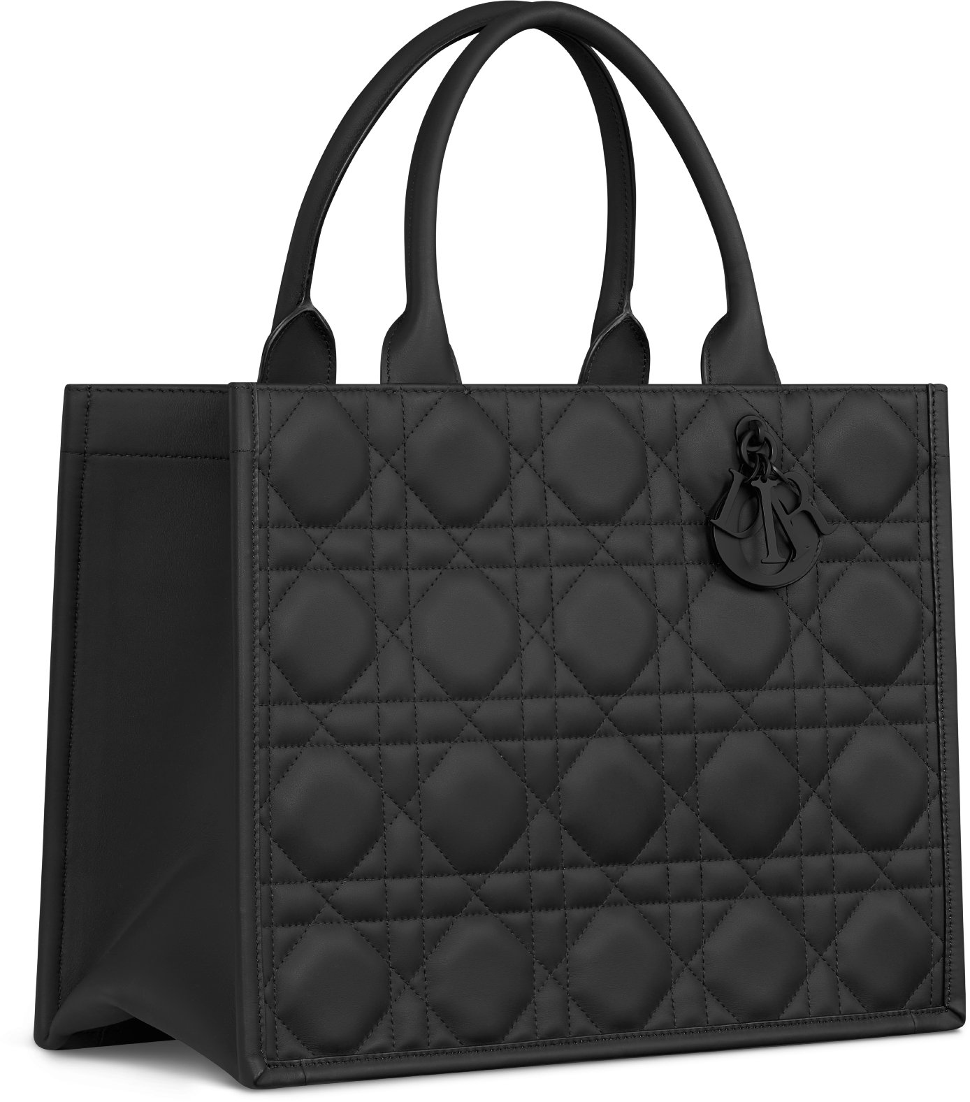 Medium Dior Book Tote Three quarter closed view
