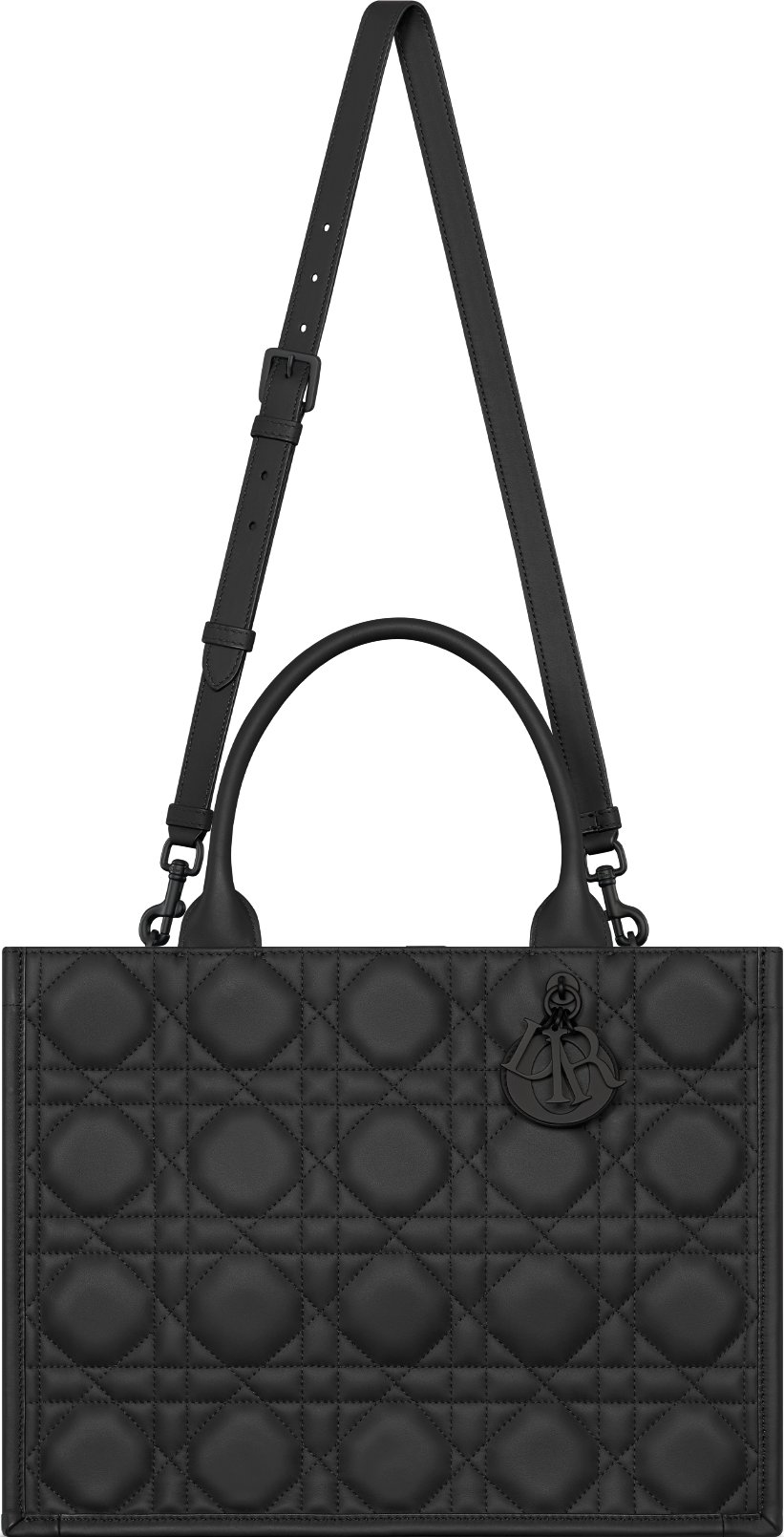 Medium Dior Book Tote Unfolded view