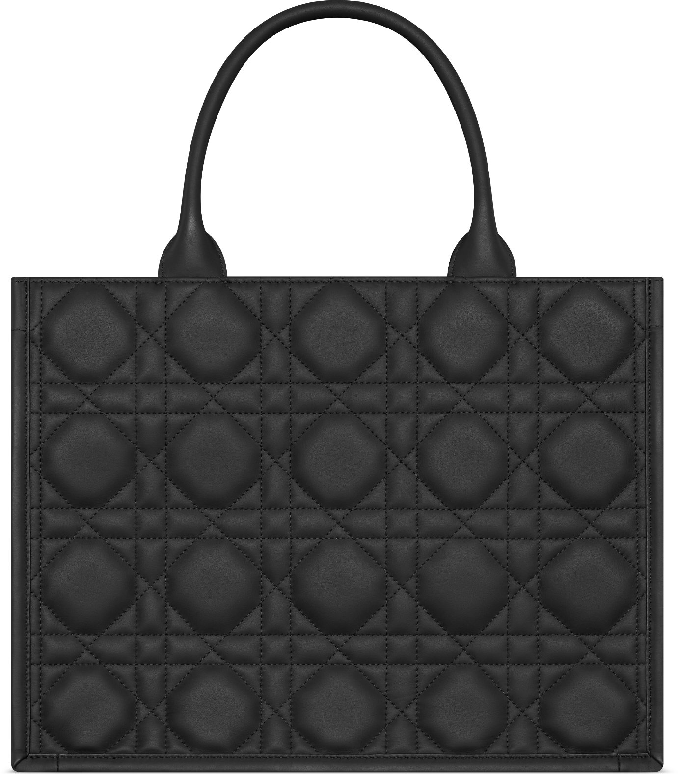 Medium Dior Book Tote Back view