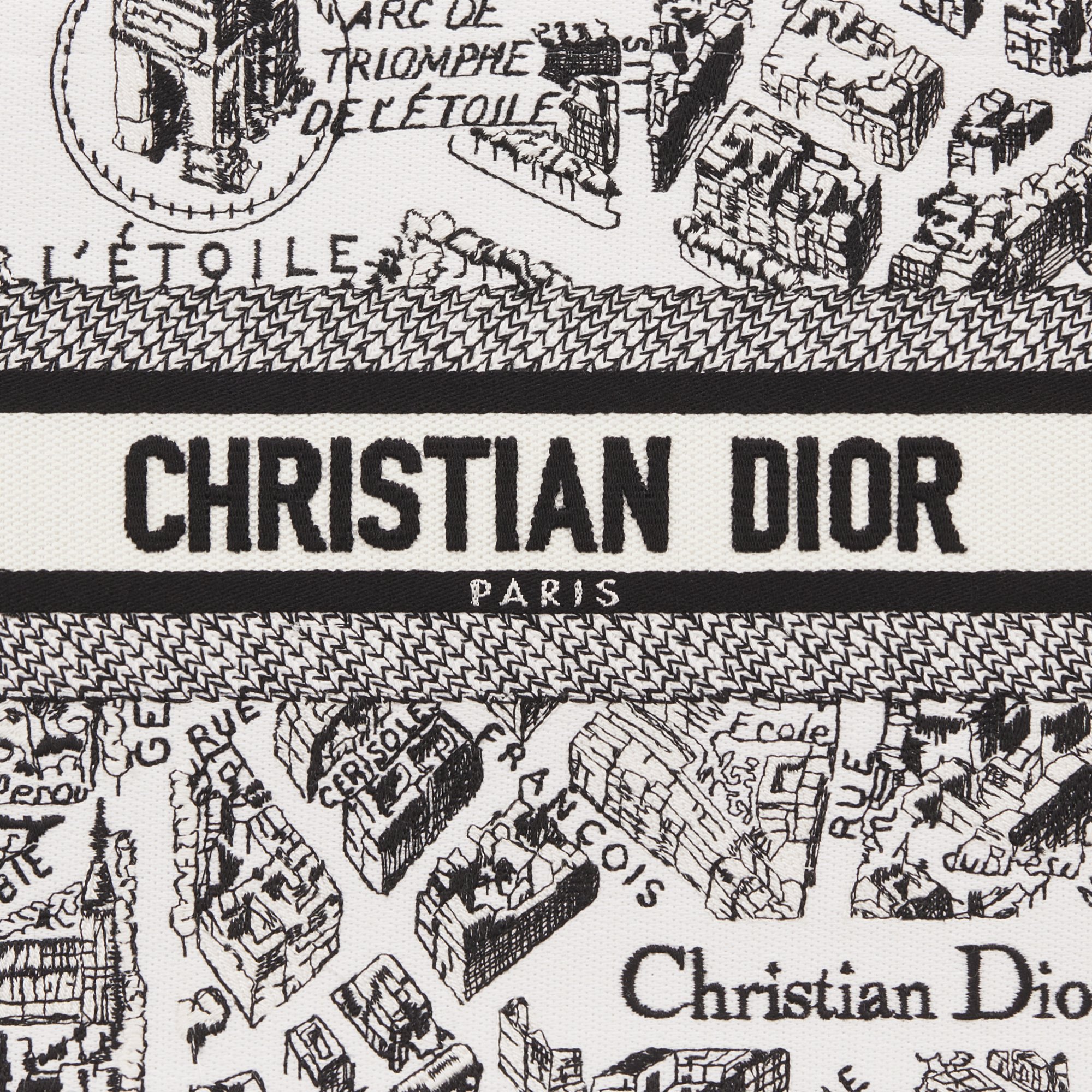 Small Dior Book Tote Detailed view