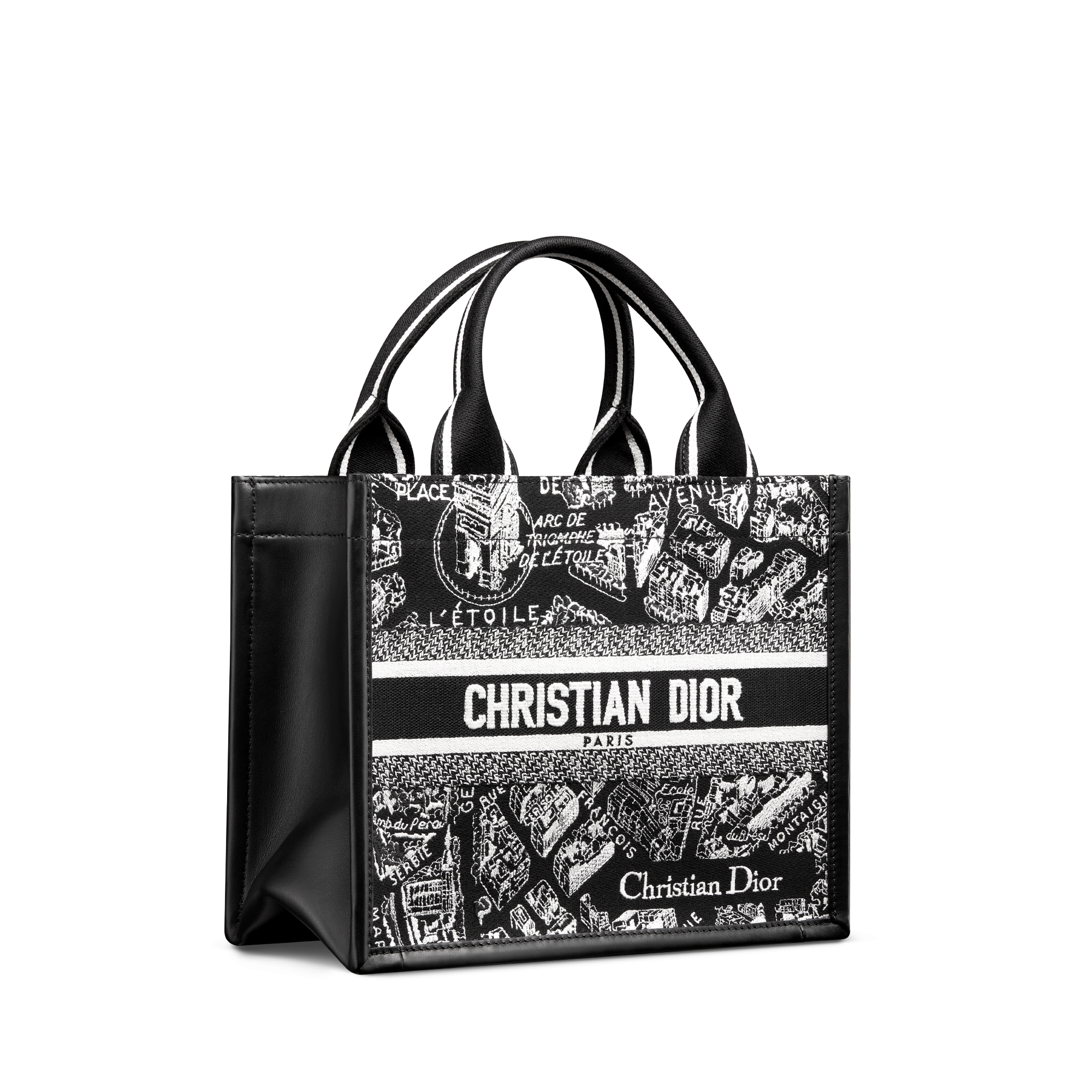 Small Dior Book Tote