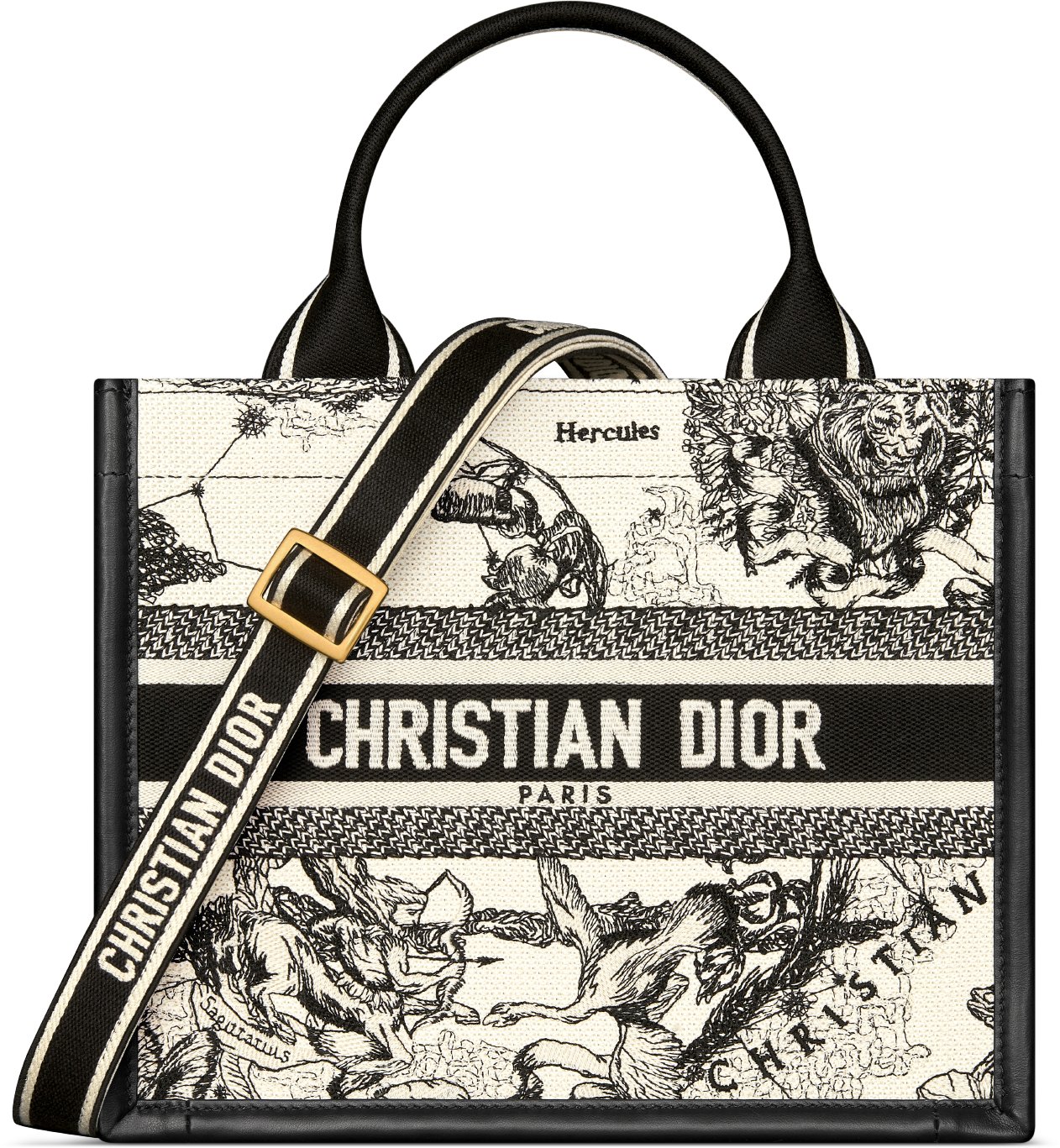 Christian dior bag tote price top