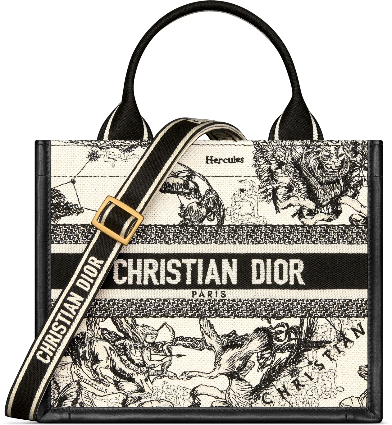 Small Dior Book Tote