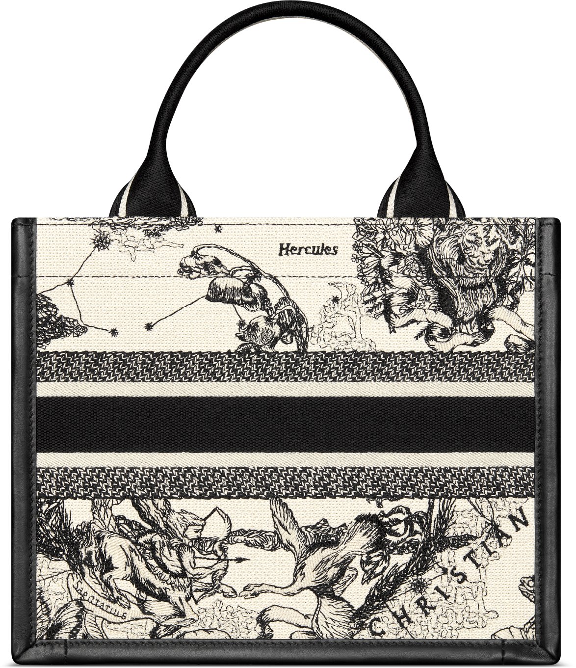 디올 스몰 Dior 북 토트백 M1325CETW_M06E