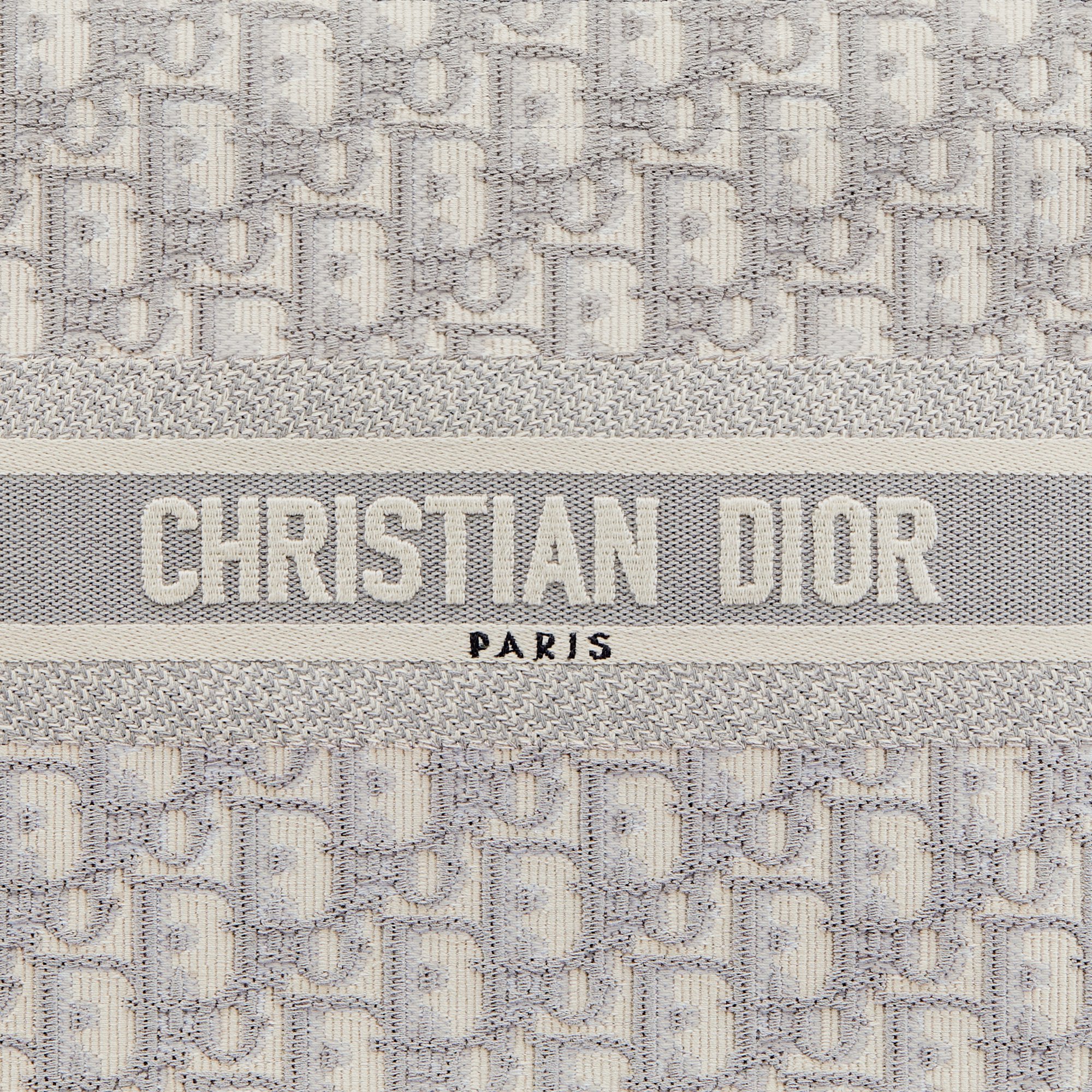 小碼 Dior Book Tote aria_detailedView