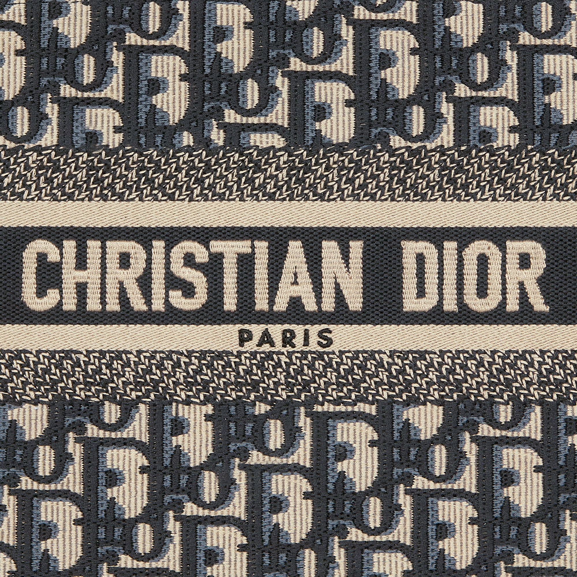 Small Dior Book Tote Blue Dior Oblique Embroidery and Calfskin (26.5 x 22 x 14 cm) E09