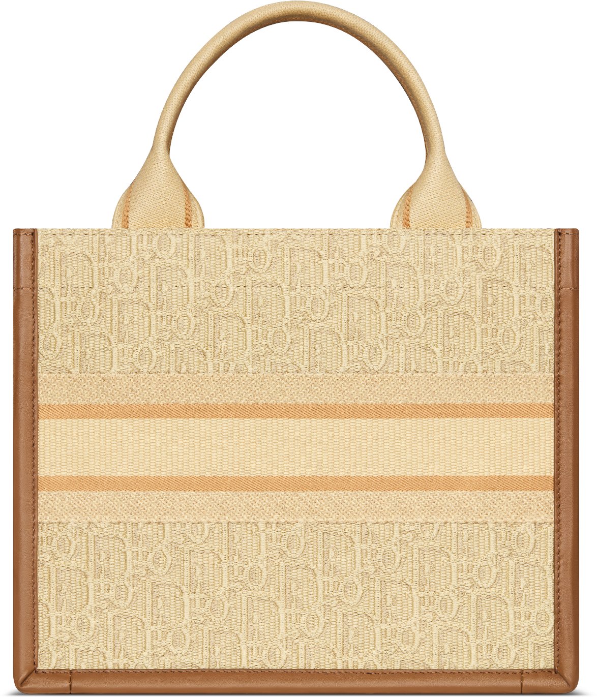 Small Dior Book Tote Back view