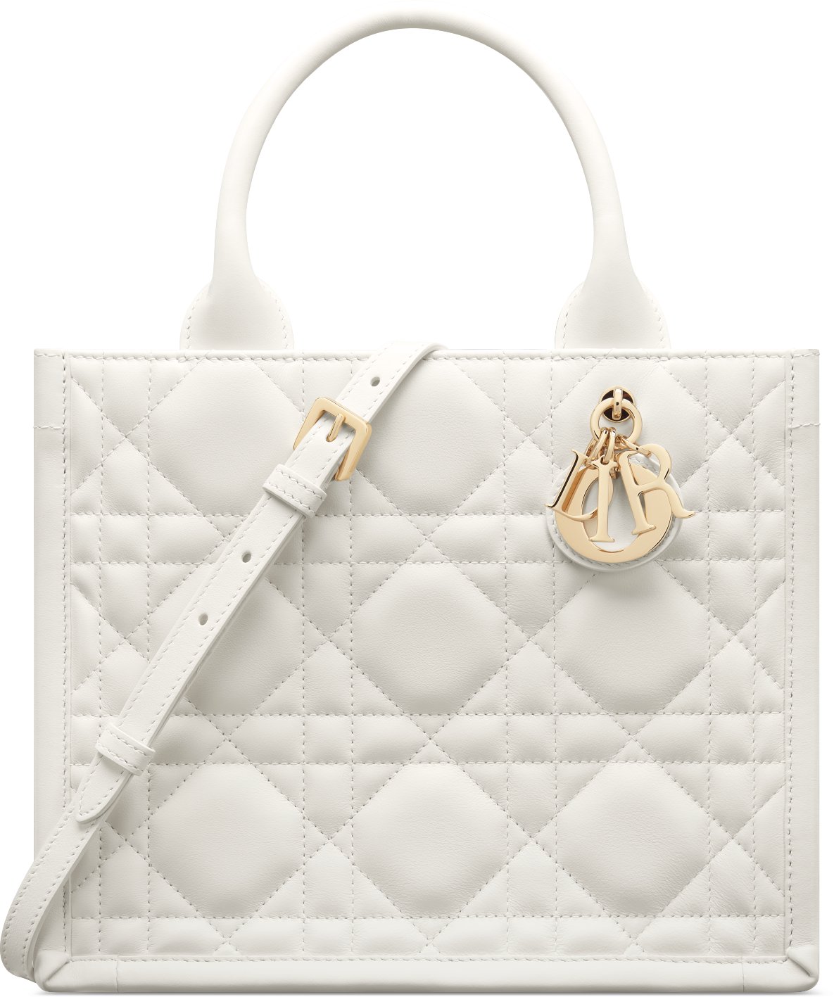 Small Dior Book Tote aria_woman_viewcode_e01