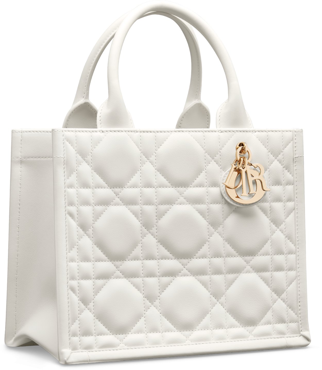 小碼 Dior Book Tote aria_threeQuarterClosedView