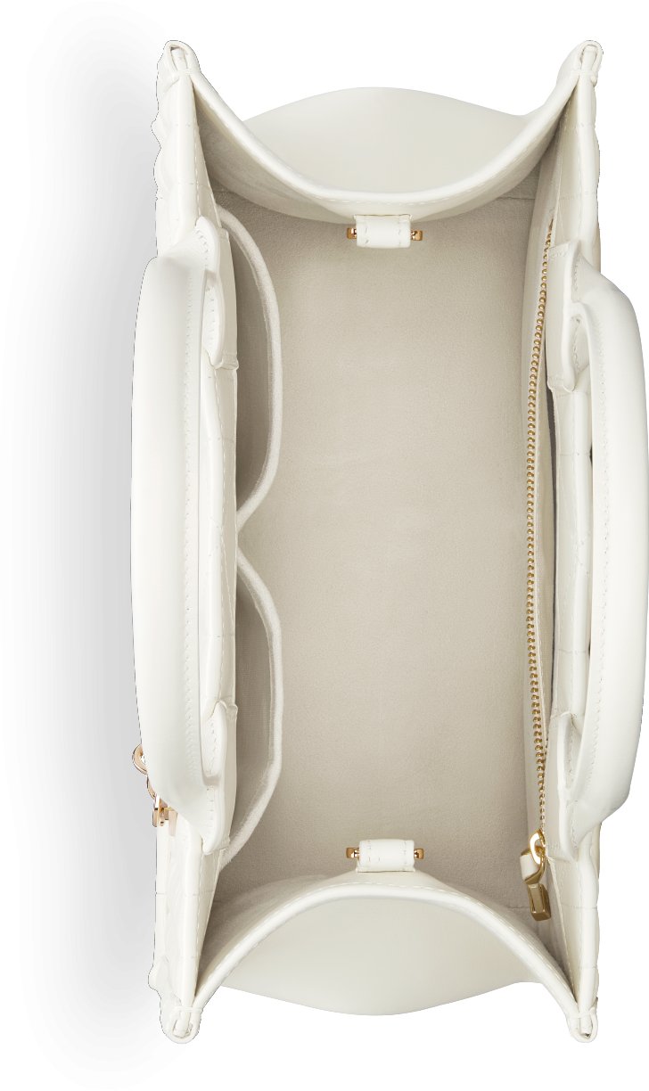 小碼 Dior Book Tote aria_topShotView