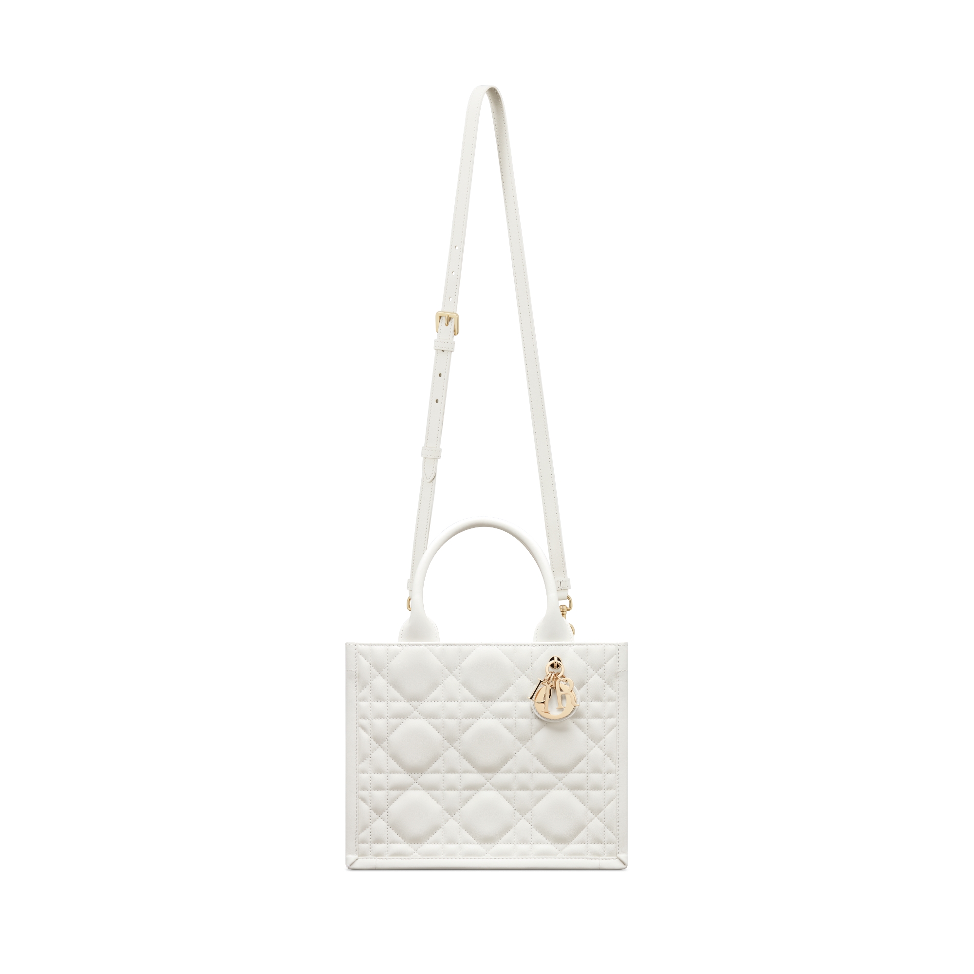 Small Dior Book Tote