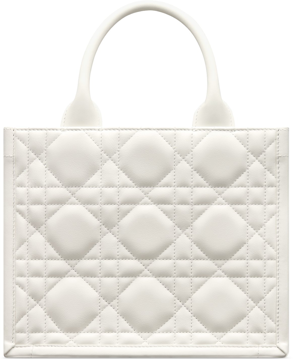 小碼 Dior Book Tote aria_backView