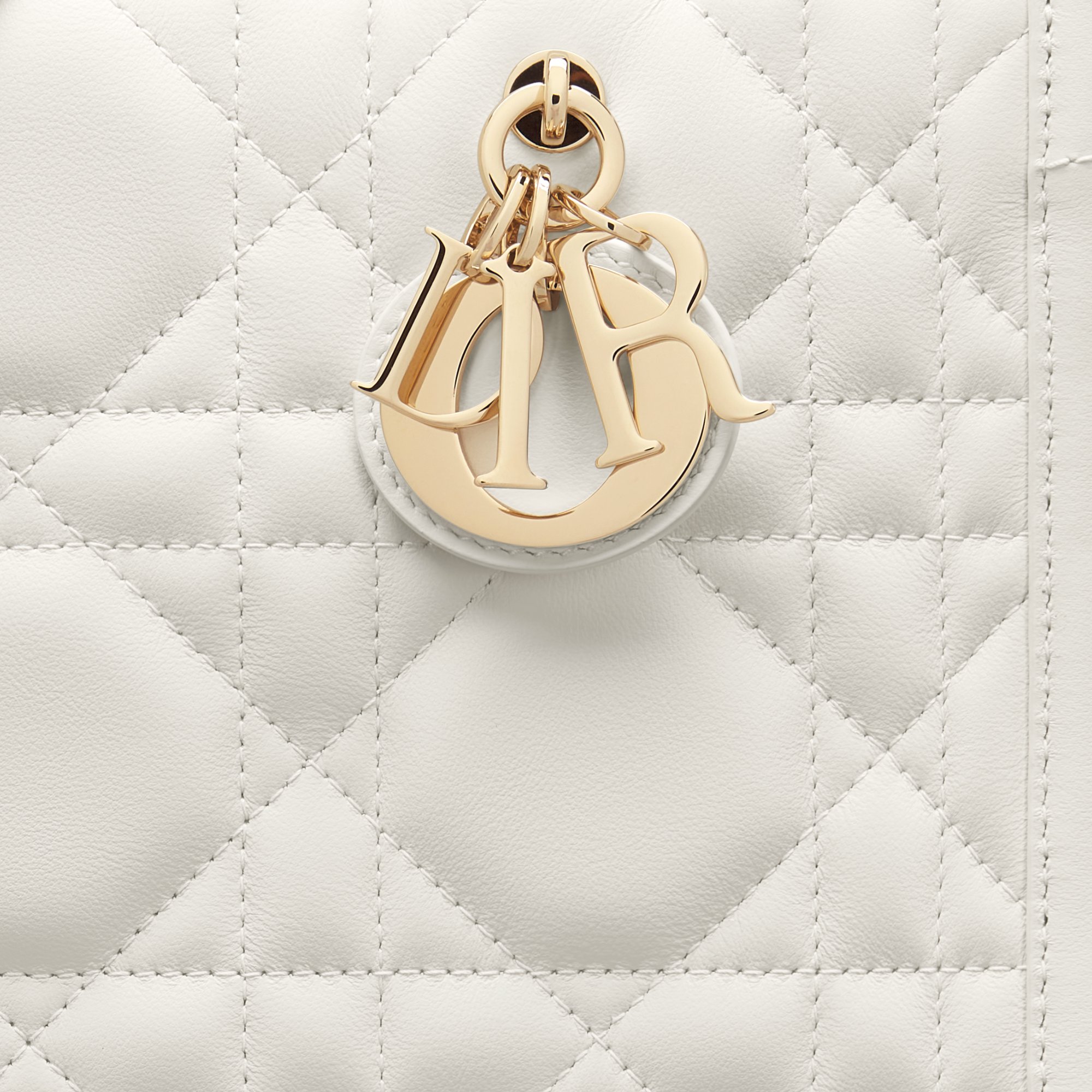 小碼 Dior Book Tote aria_detailedView