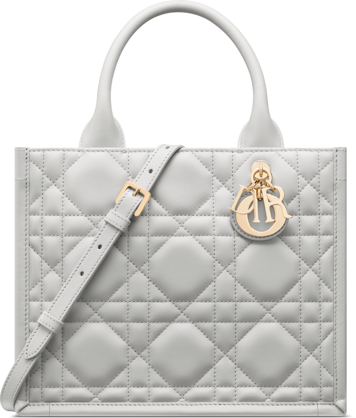 Small Dior Book Tote aria_woman_viewcode_e01