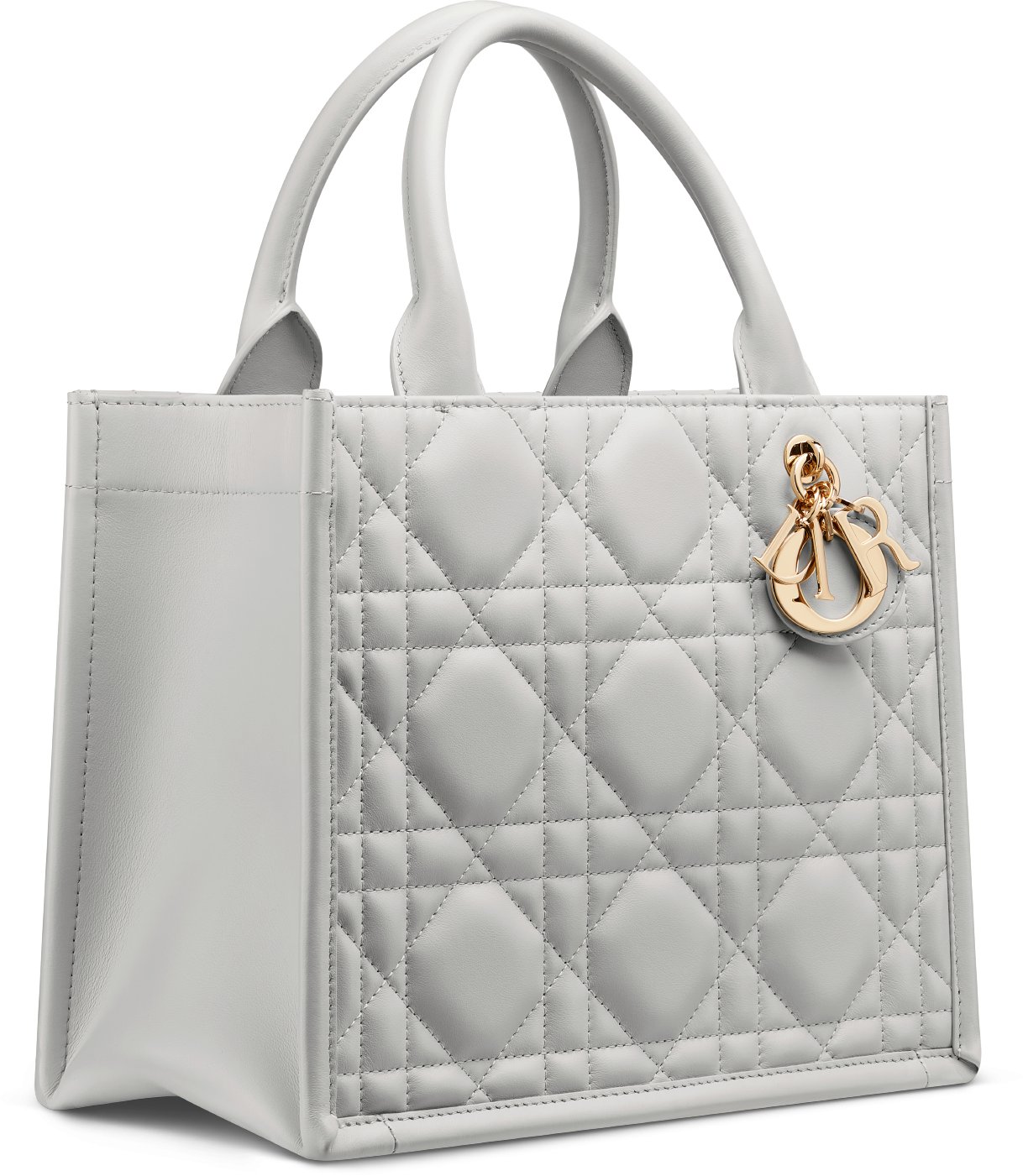 Small Dior Book Tote Dior Oblique Embroidery with Gold-Tone Metallic Thread  and Latte Calfskin (26.5 x 22 x 14 cm) | DIOR