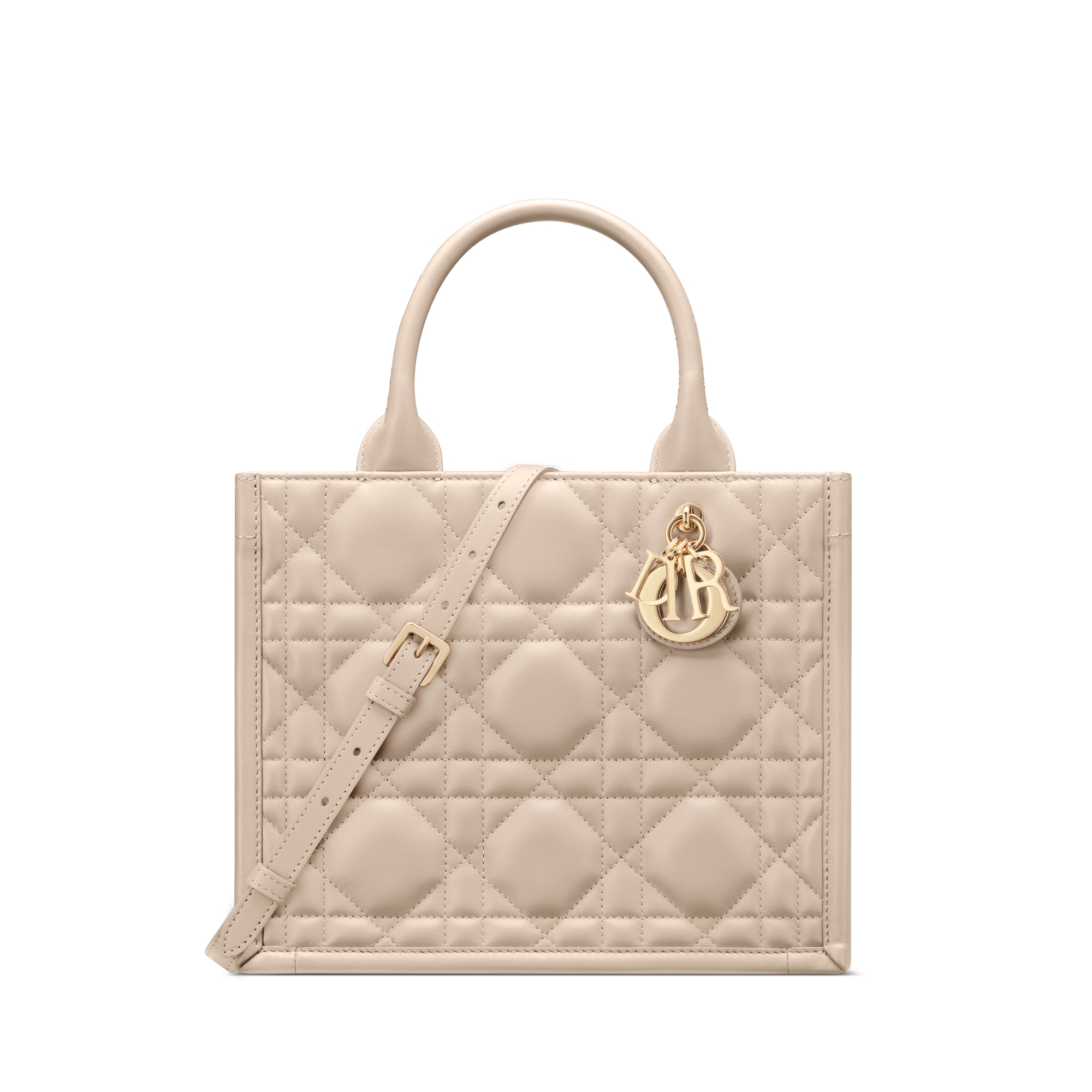 DIOR | Lady D-Lite バッグ ミディアム トワル ドゥ ジュイ