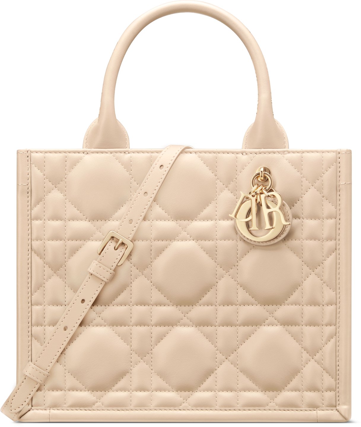 Small Dior Book Tote aria_woman_viewcode_e01