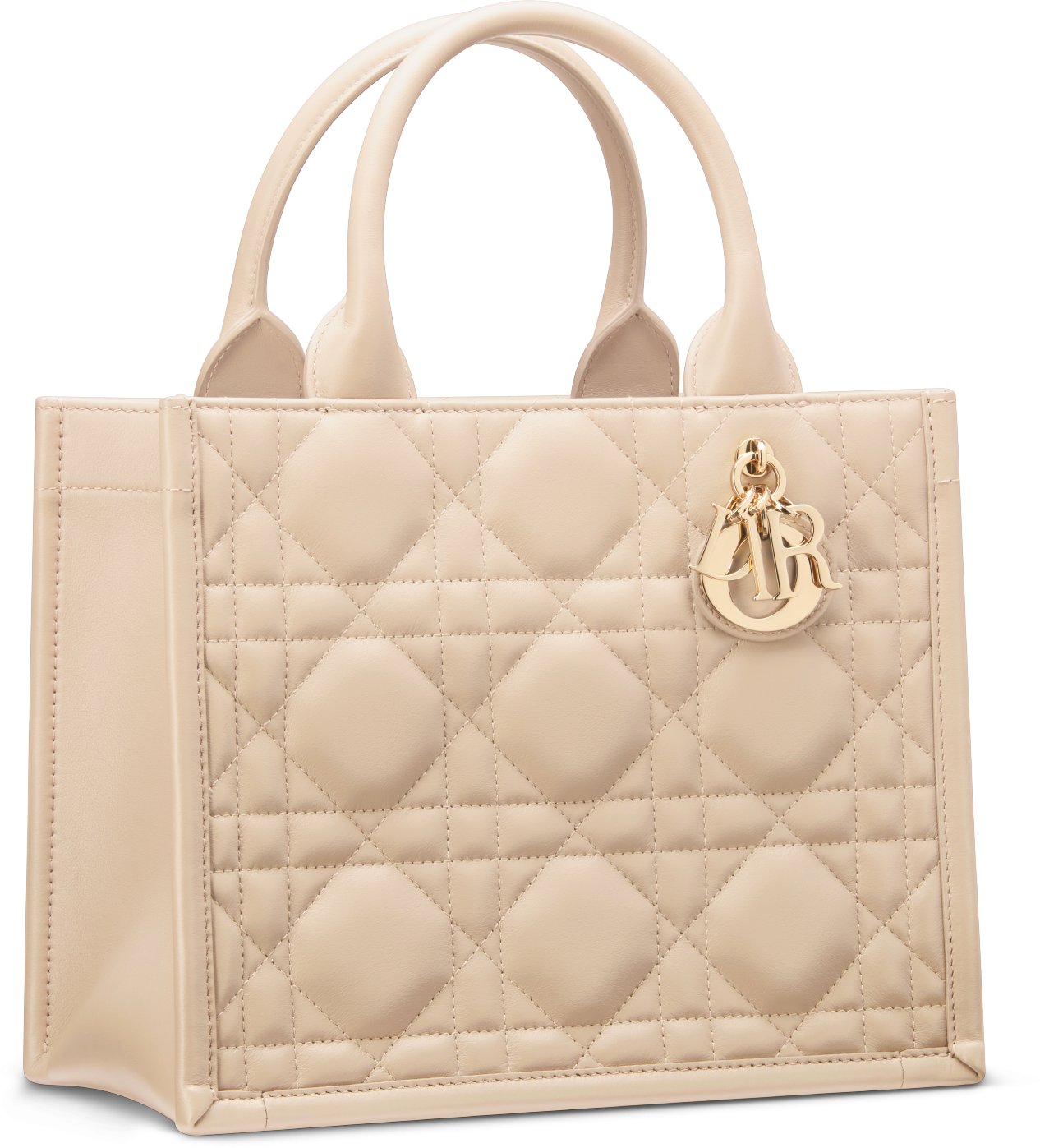 디올 스몰 Dior 북 토트백 M1325OWHP_M51U