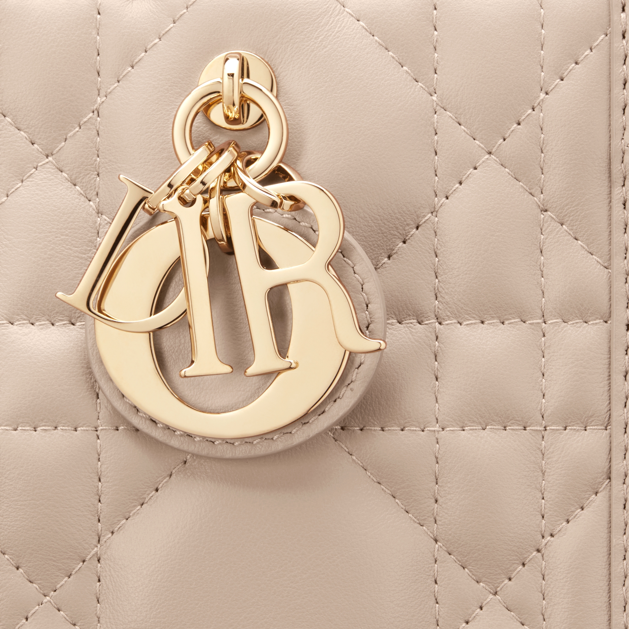 Small Dior Book Tote