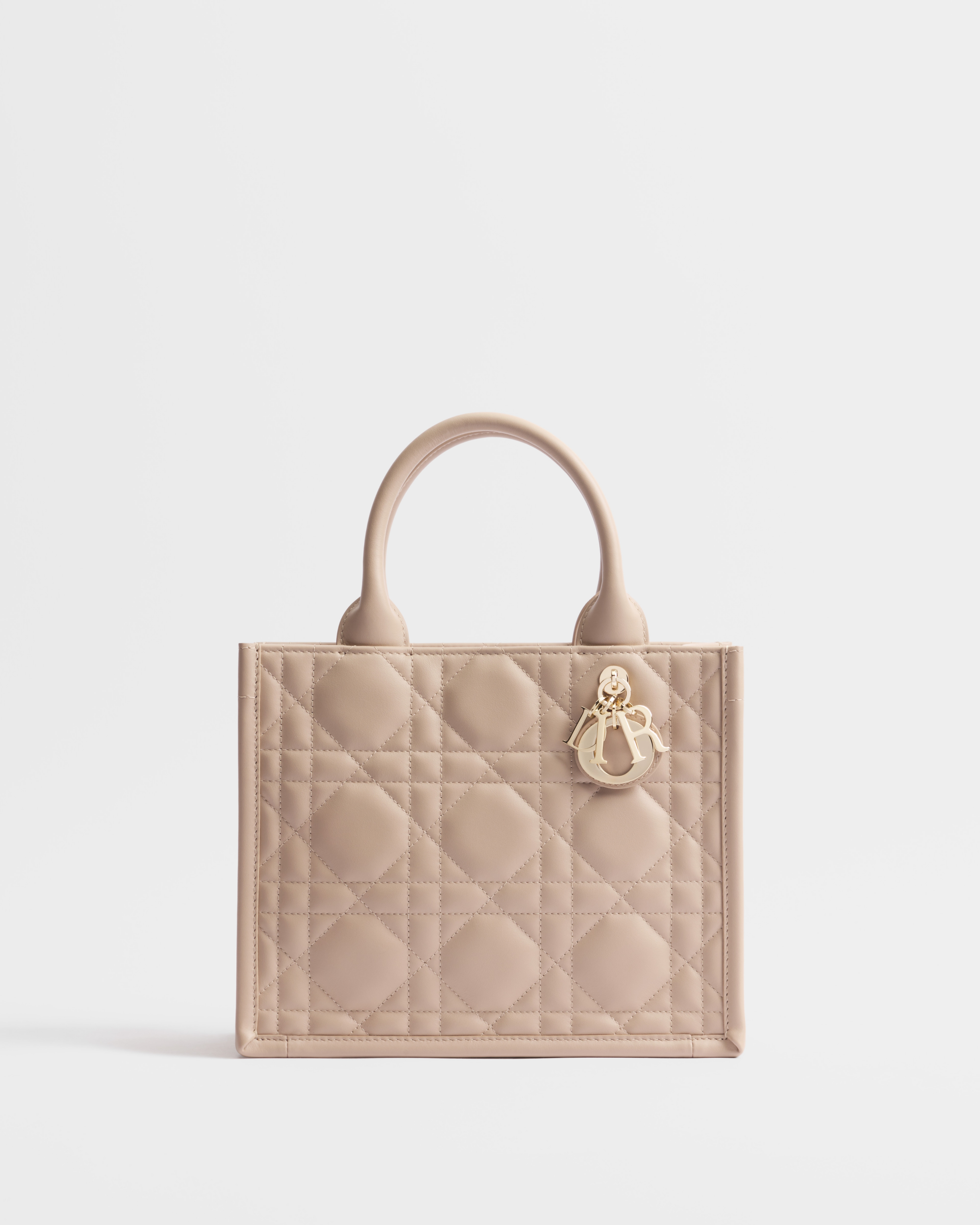 Small Dior Book Tote