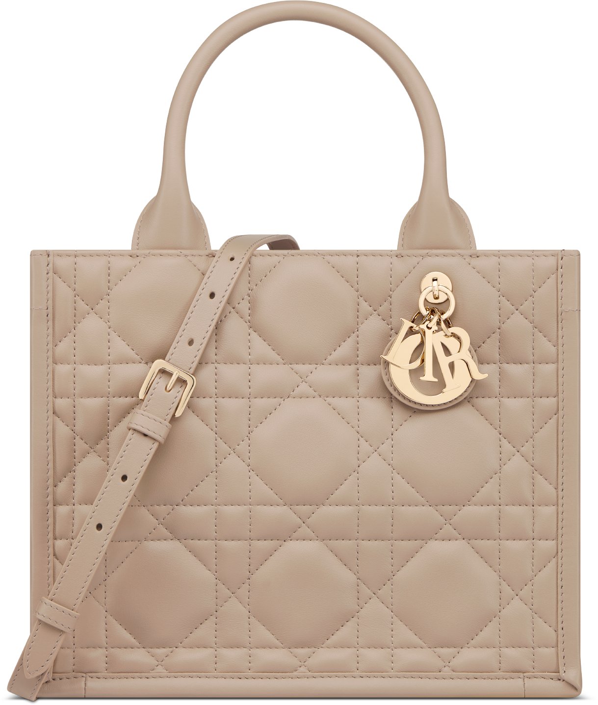 Small Dior Book Tote Front view Front view
