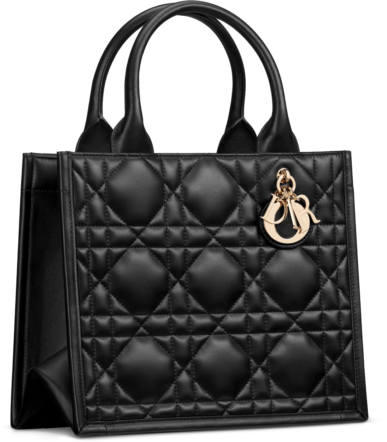 디올 스몰 Dior 북 토트백 M1325OWHP_M900