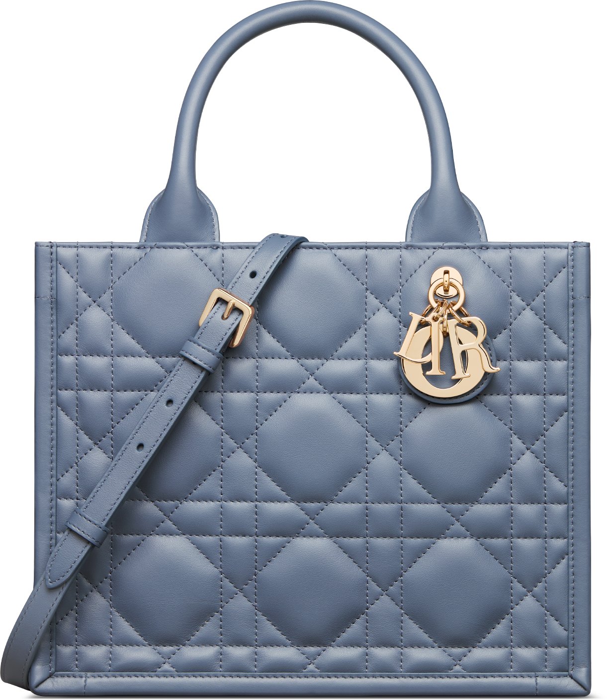 디올 스몰 Dior 북 토트백 M1325OWHP_M90B