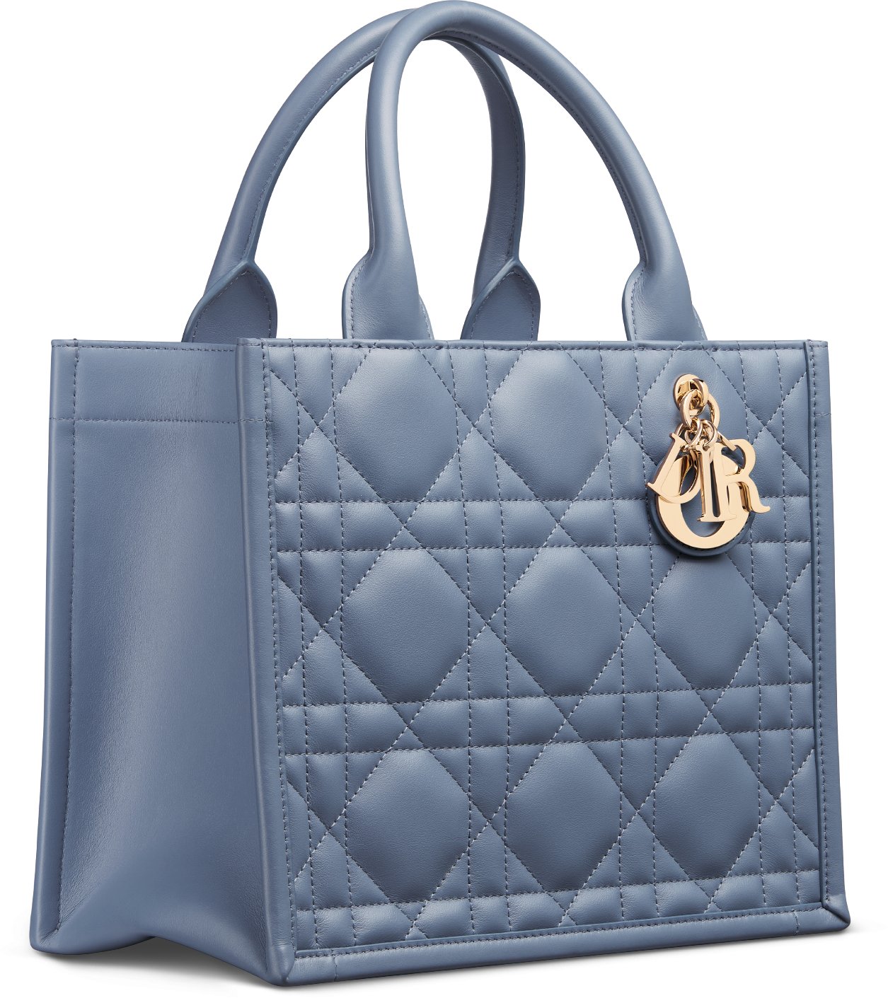 Small Dior Book Tote Three quarter closed view