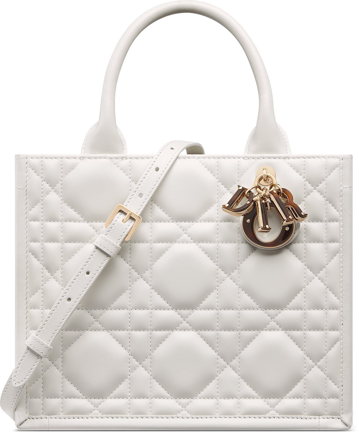 Lady dior canvas bag price sales