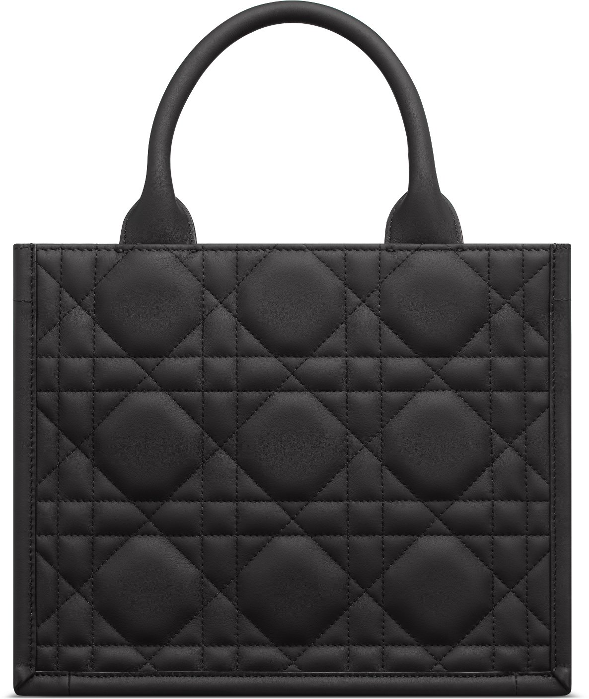 Dior Book Tote 스몰 백 aria_backView