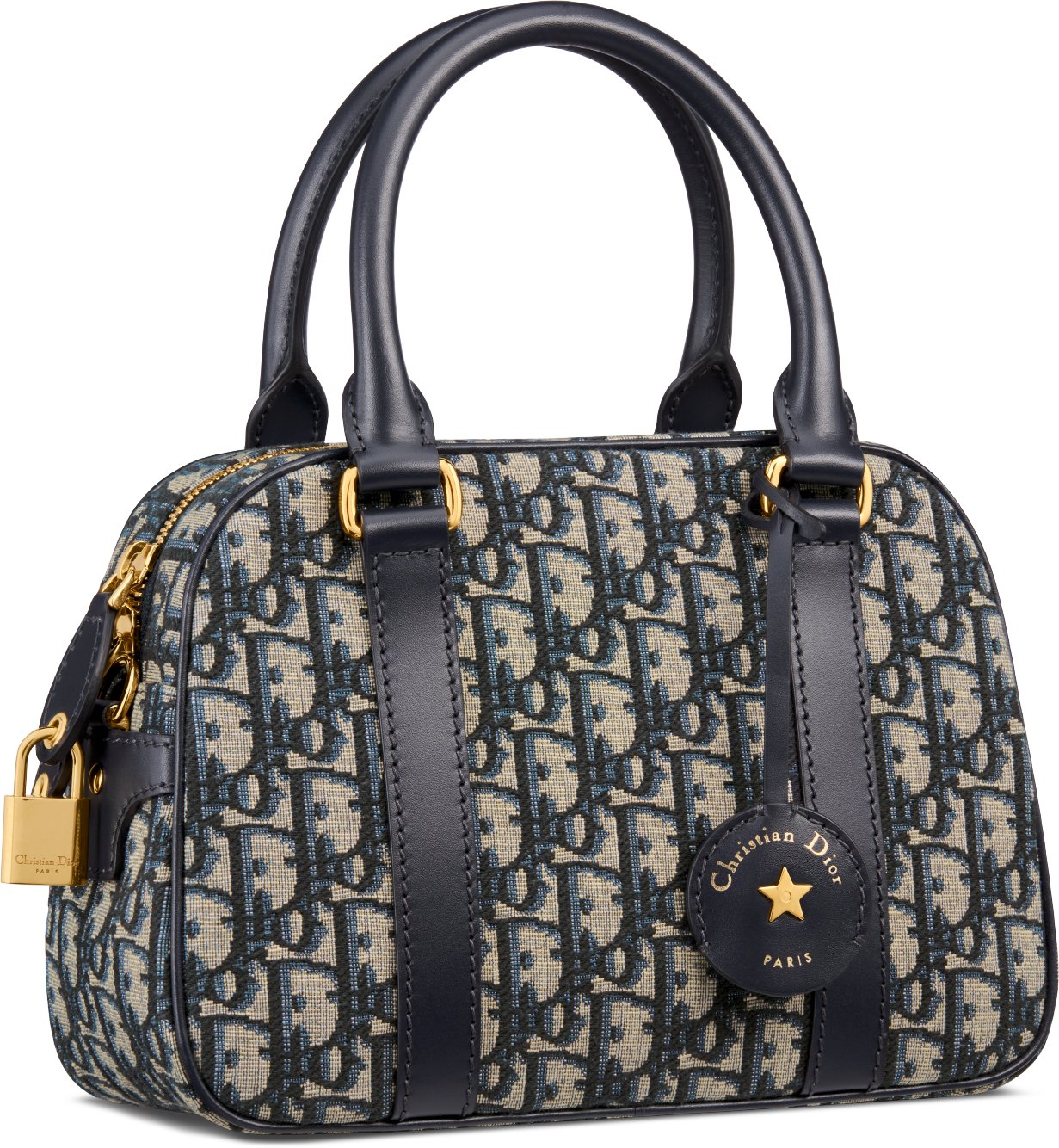 Dior oblique handbag store