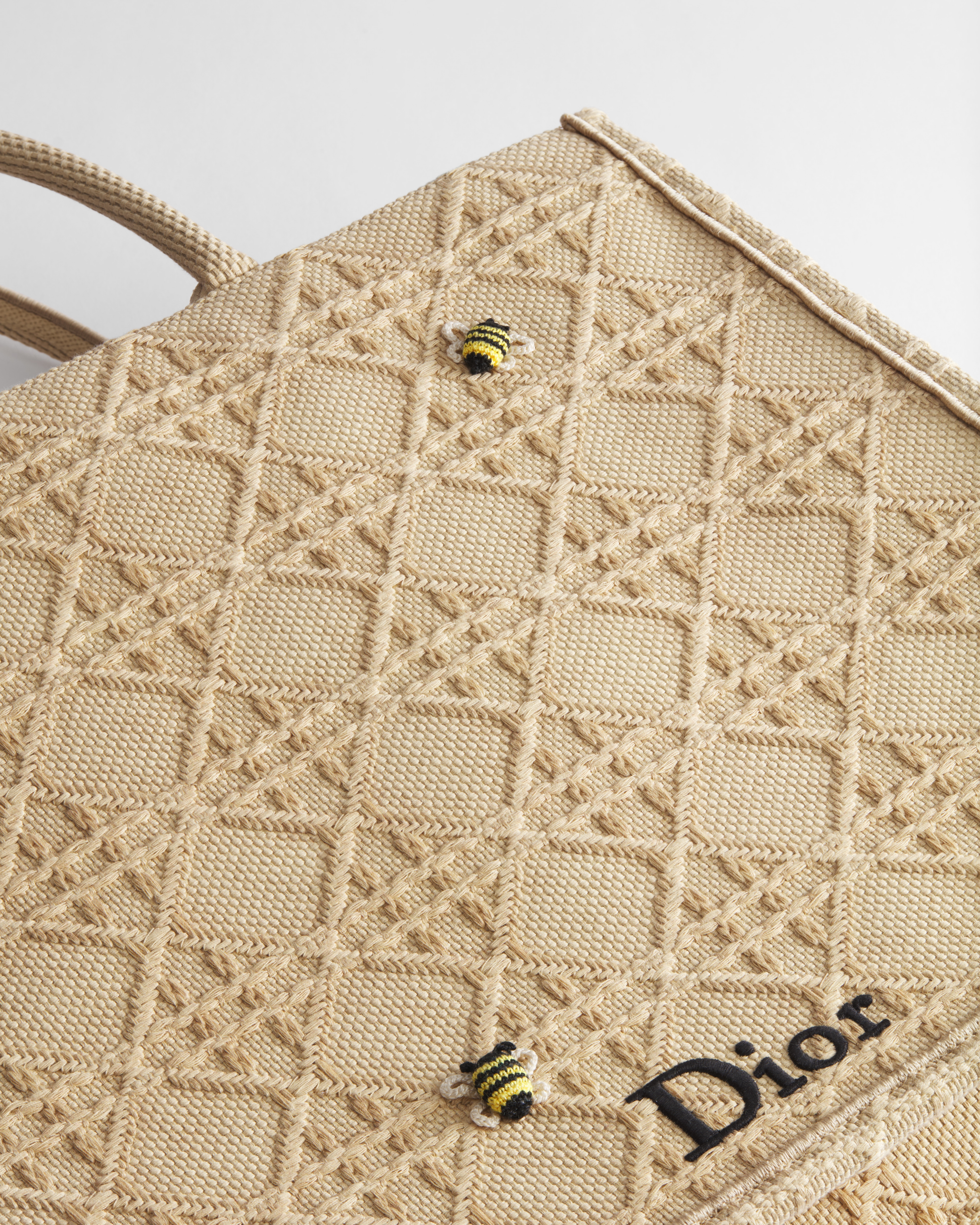 Large Dior Book Tote