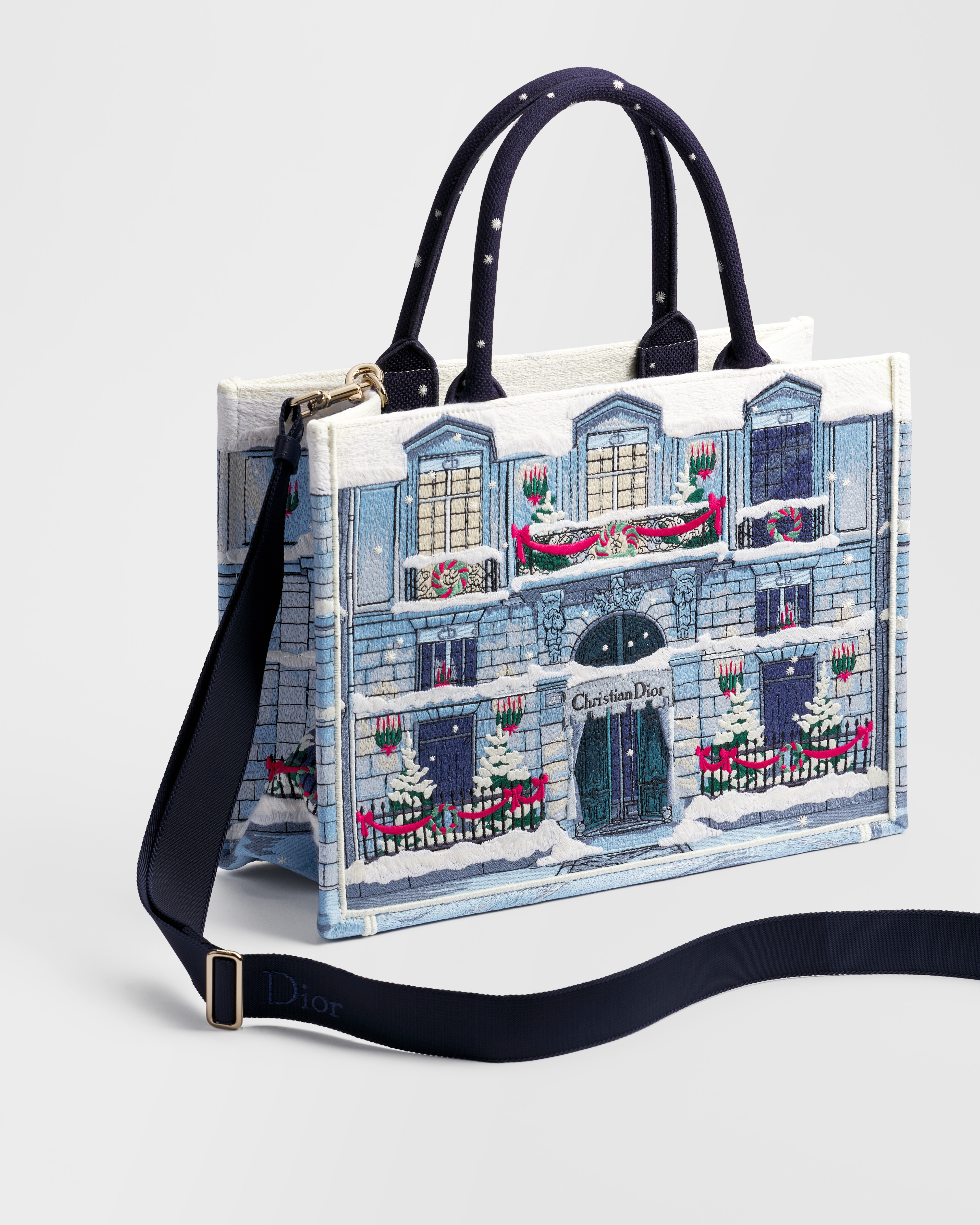 Medium Dior Book Tote with Strap
