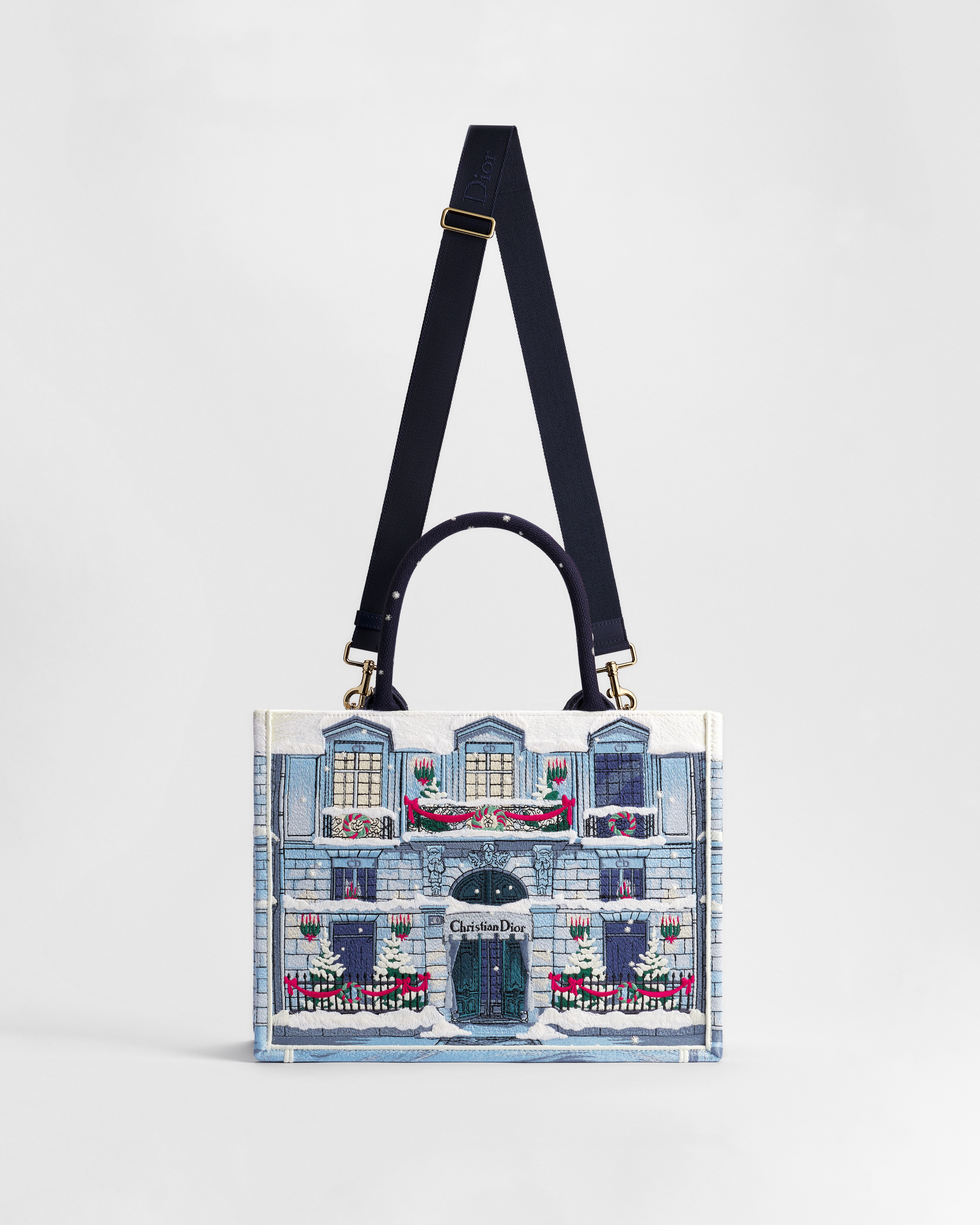Medium Dior Book Tote with Strap