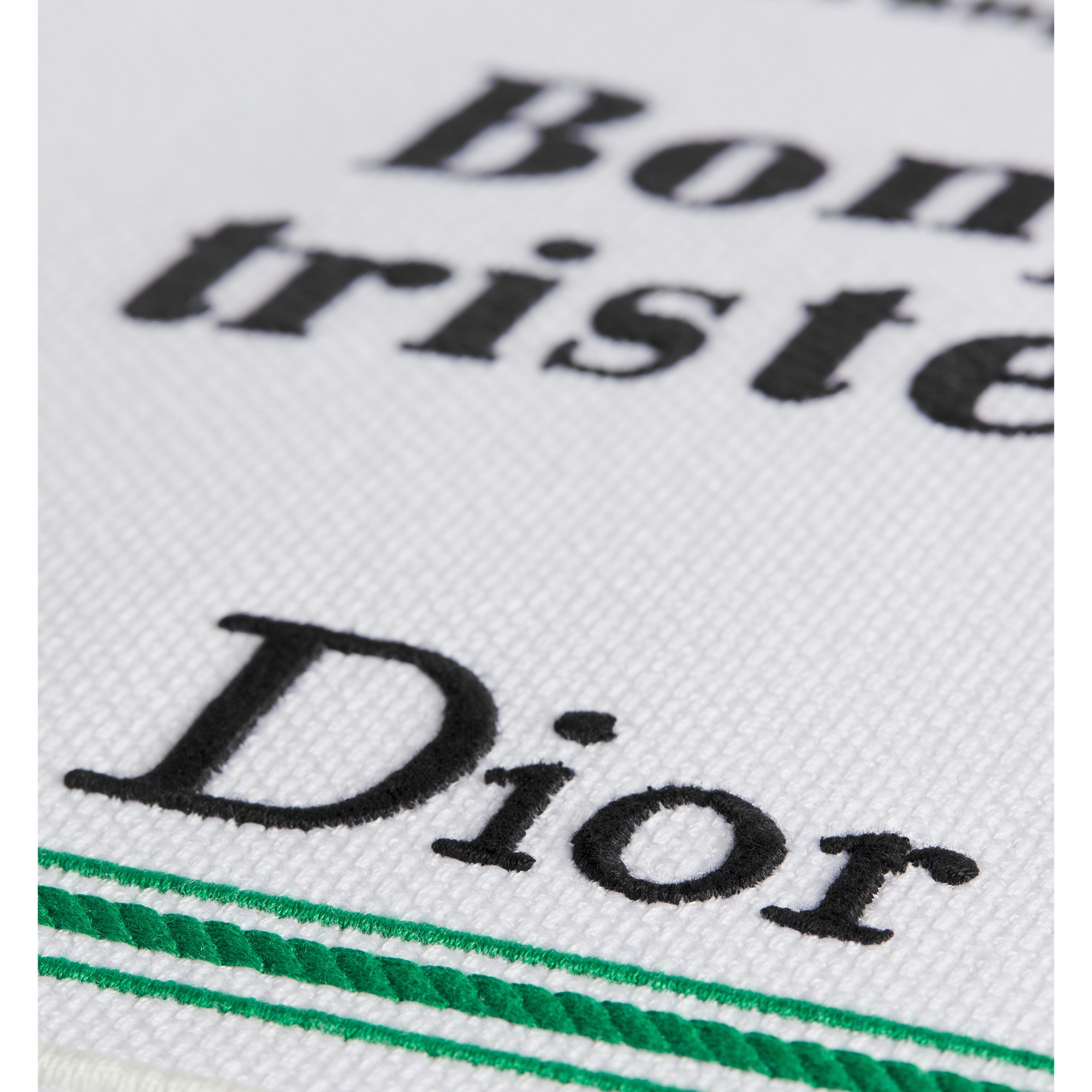 Medium Dior Book Tote with Strap White, Green and Black Book Cover Embroidery (36 x 27.5 x 16.5 cm) E09