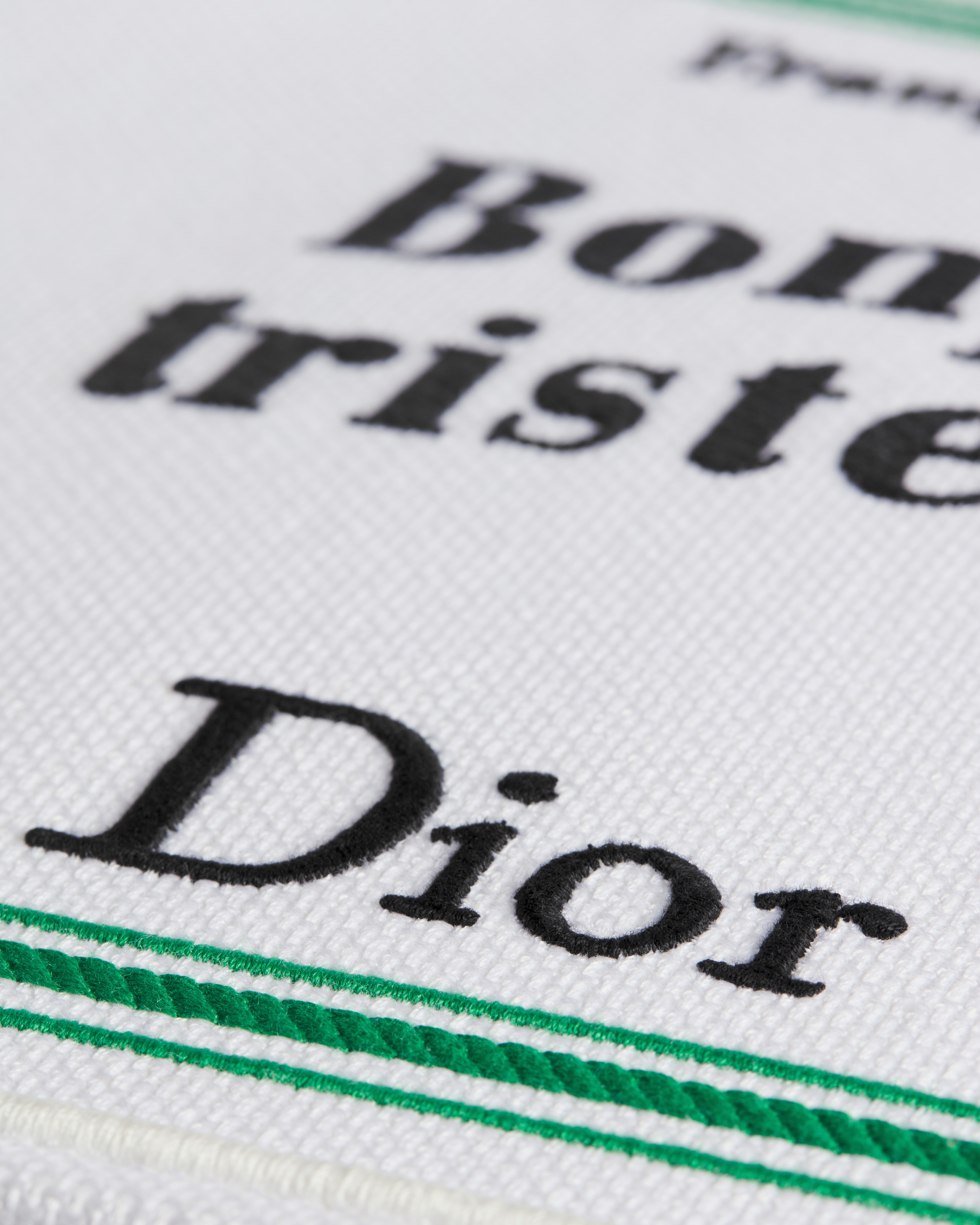 Medium Dior Book Tote with Strap White, Green and Black Book Cover Embroidery (36 x 27.5 x 16.5 cm) E09