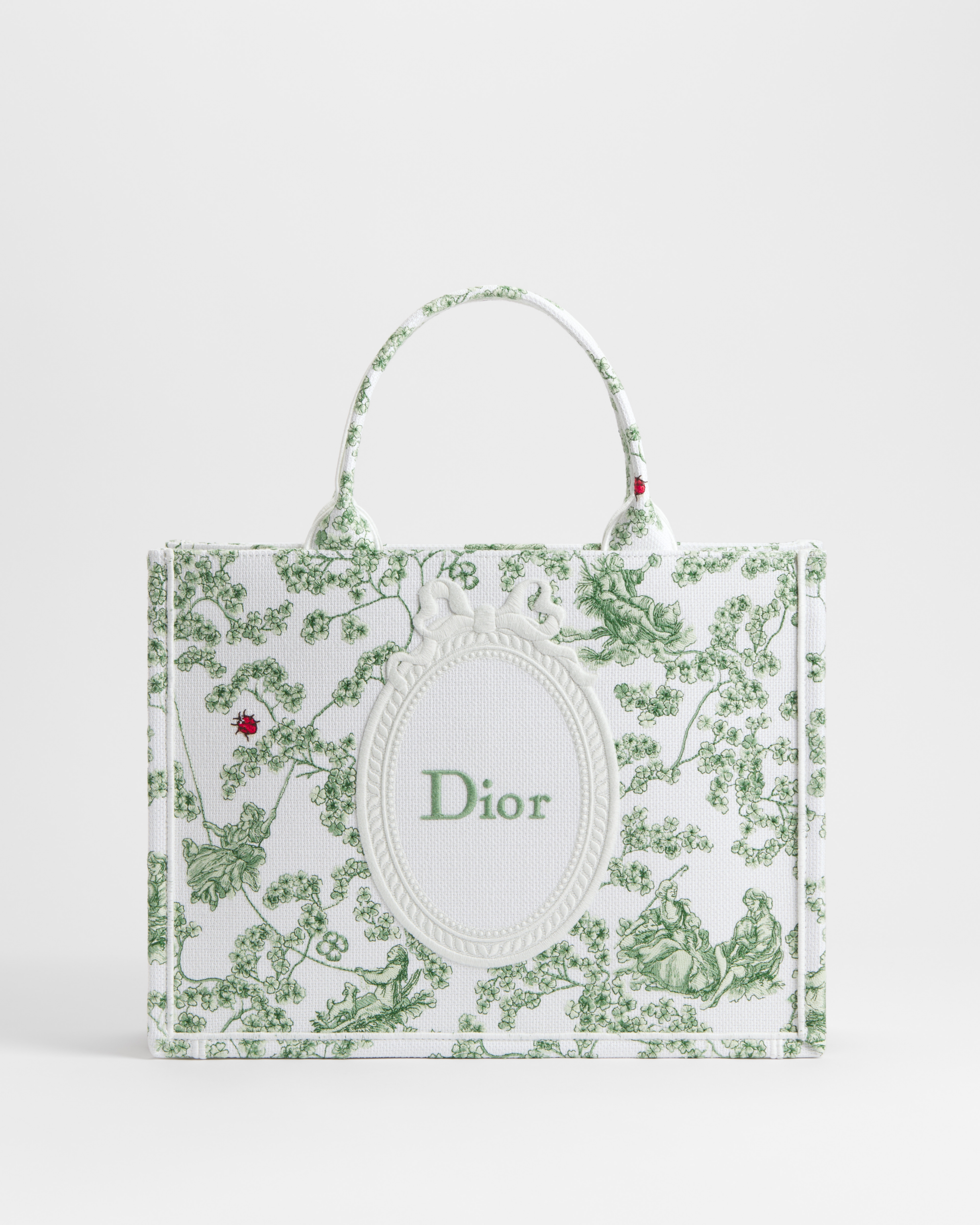 Medium Dior Book Tote with Strap