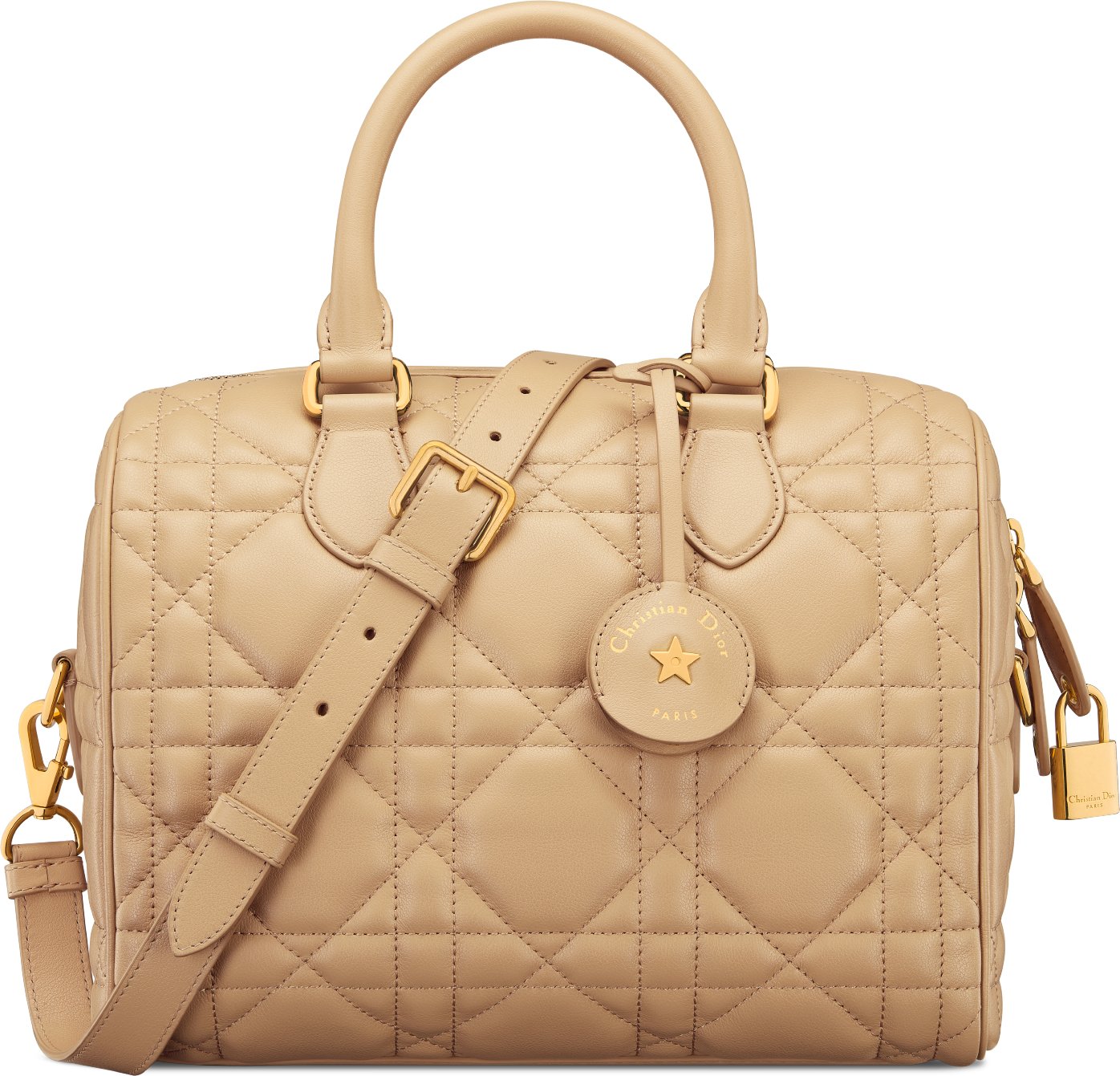 Dior speedy bag hot sale