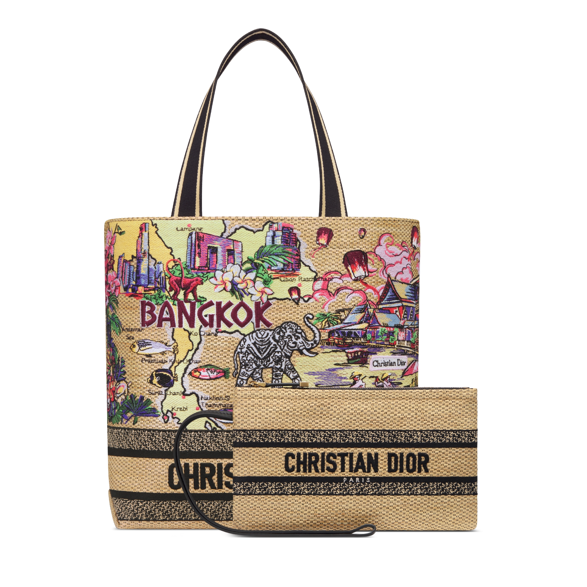 Dior Souvenir Medium Soft Dior Book Tote Natural Raffia and Multicolor ...