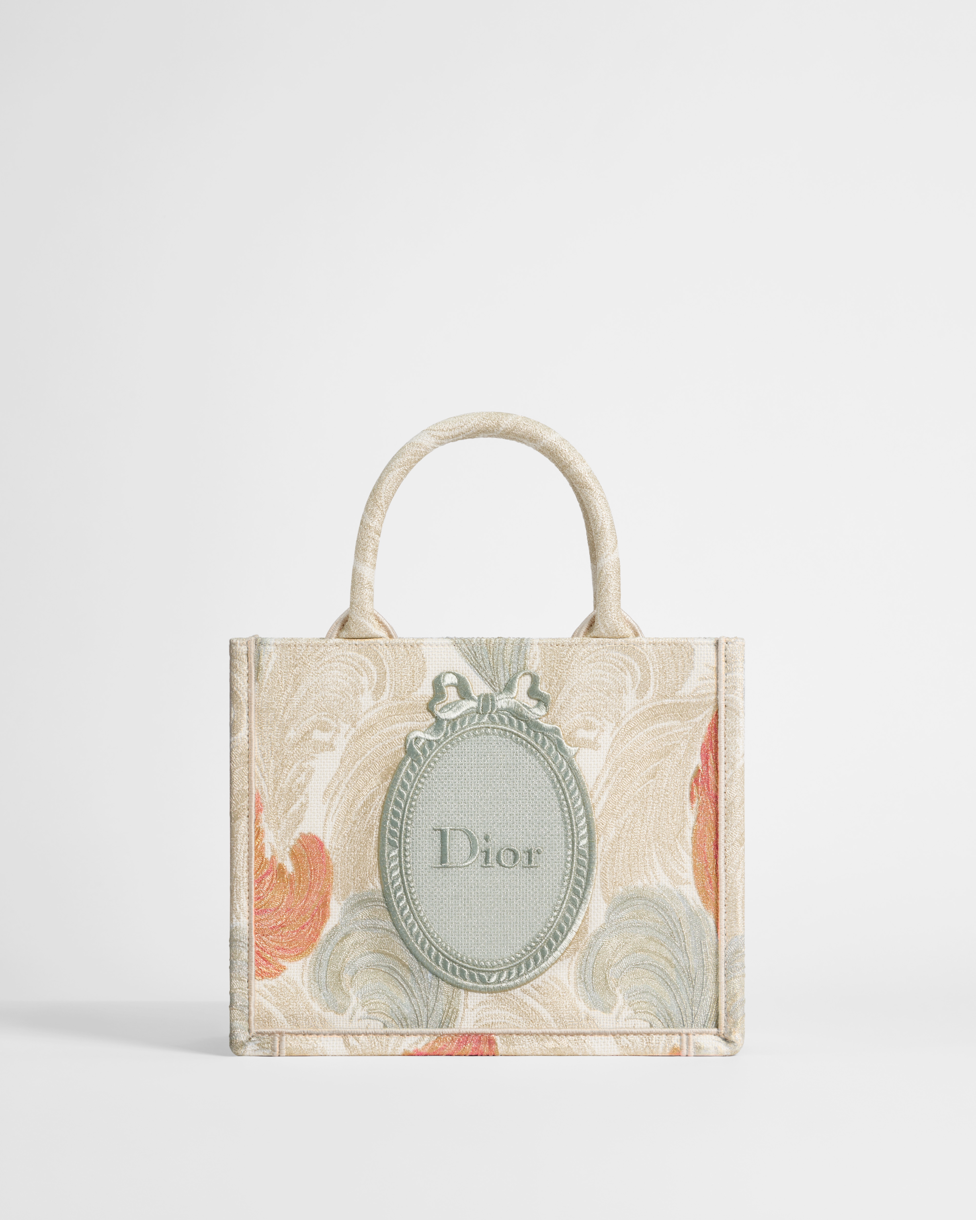 Kleine Dior Book Tote mit Riemen