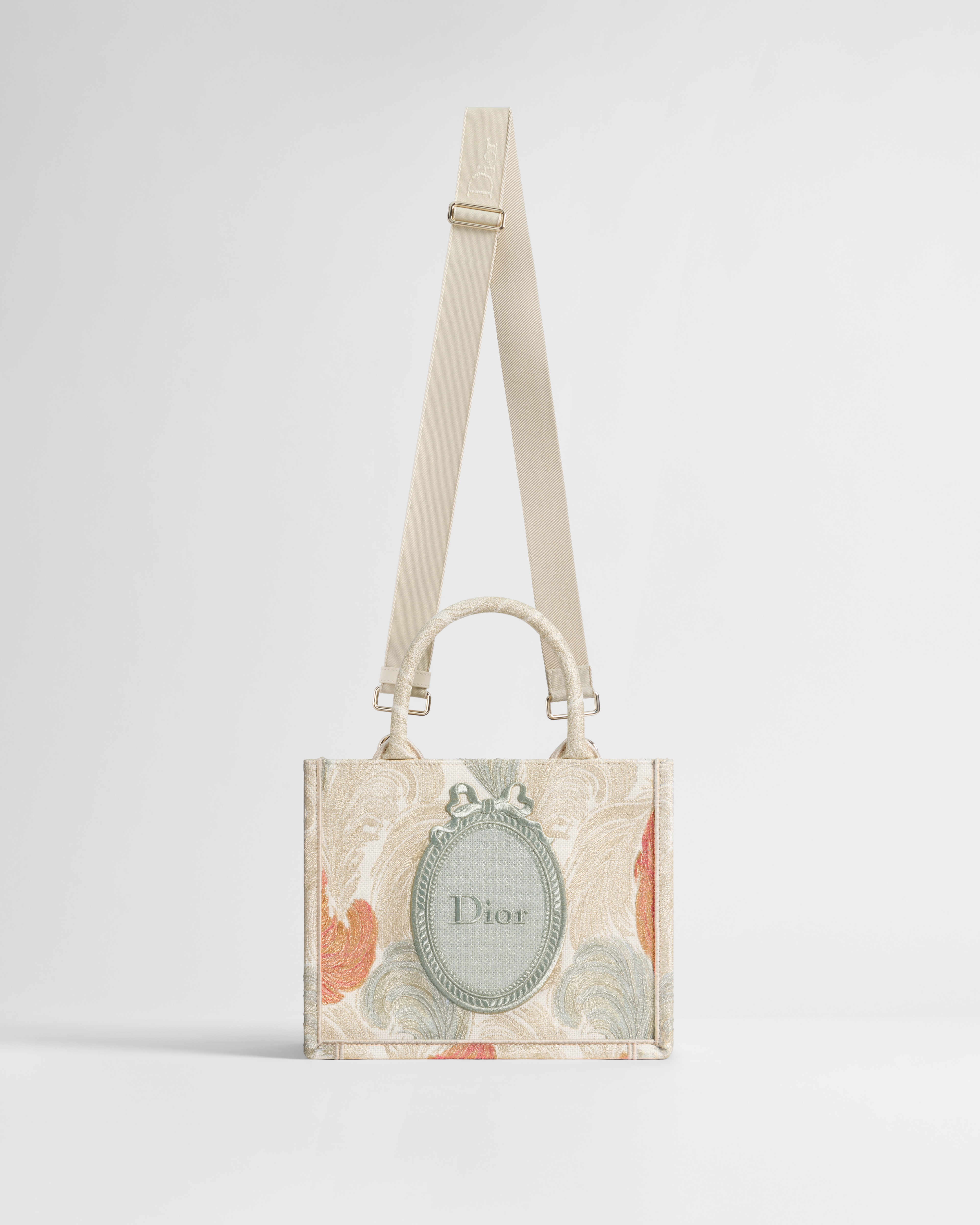 Kleine Dior Book Tote mit Riemen