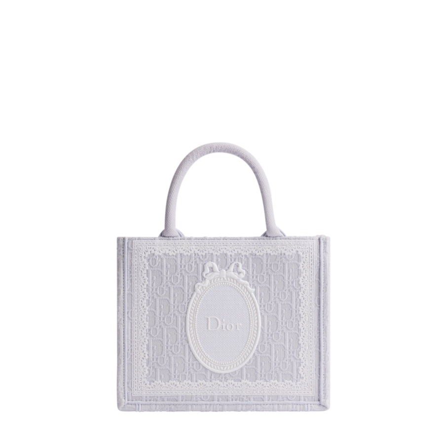 Small Dior Book Tote
