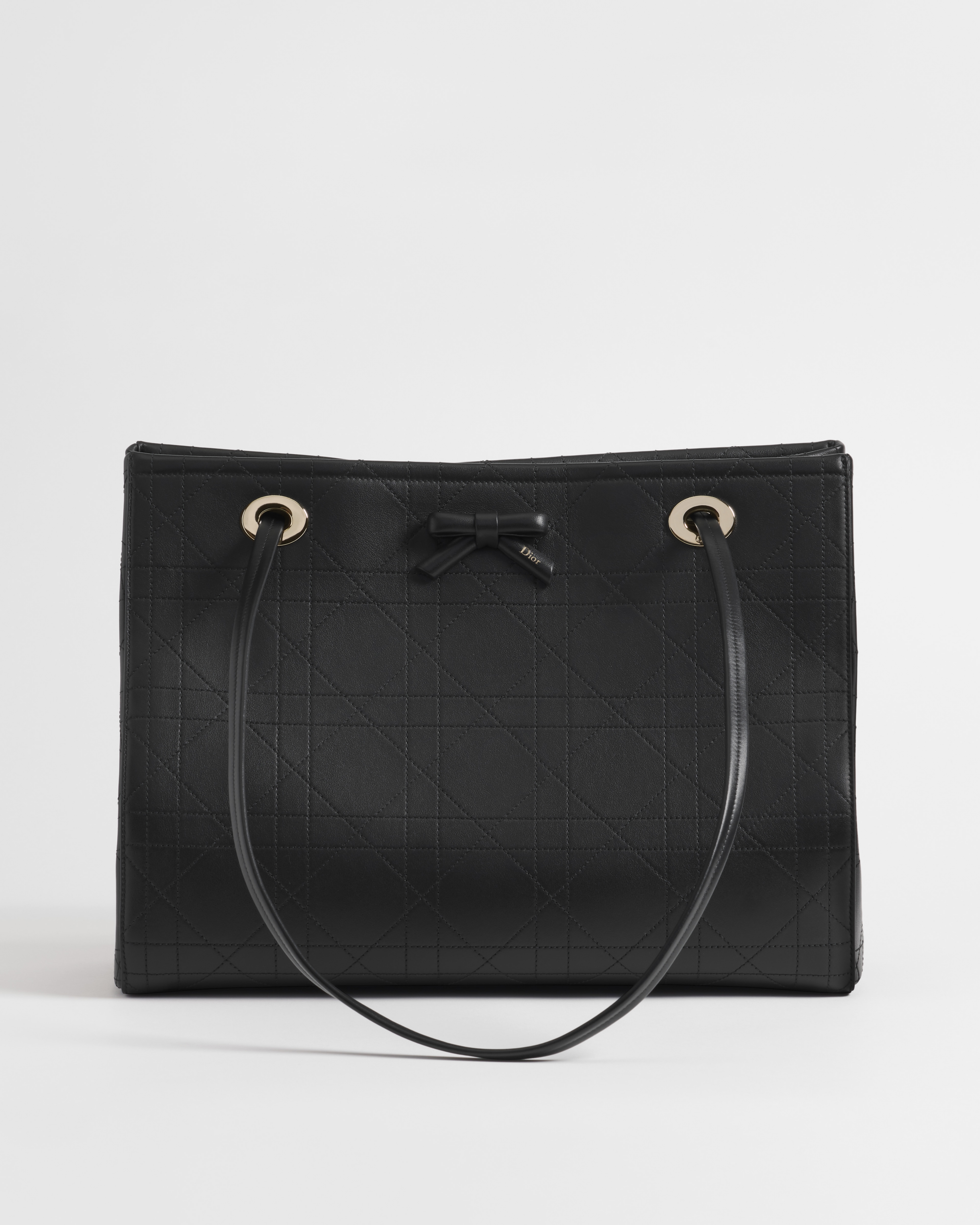 Medium Dior Promenade Shopping Bag