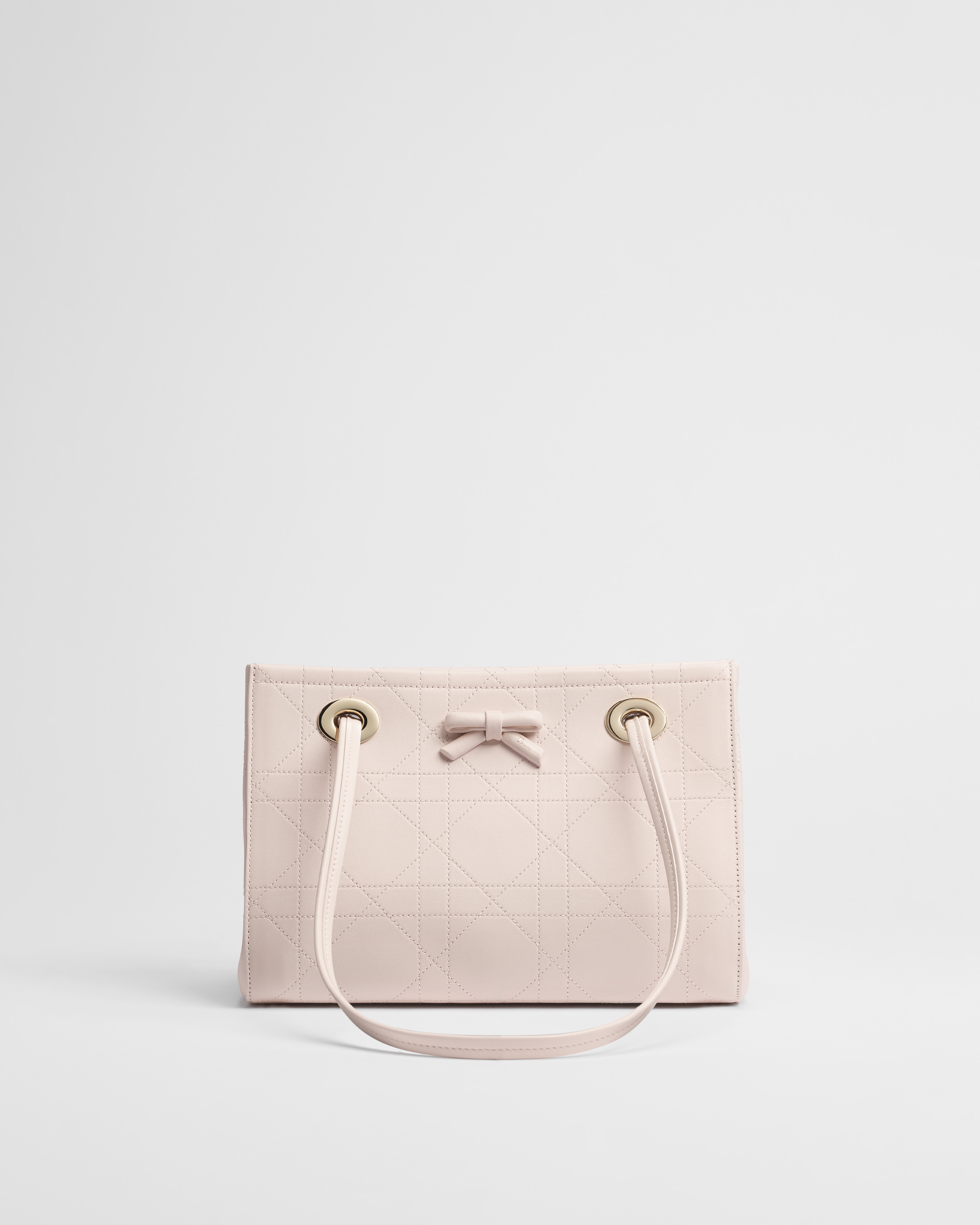 Dior Qixi Small Dior Promenade Shopping Bag
