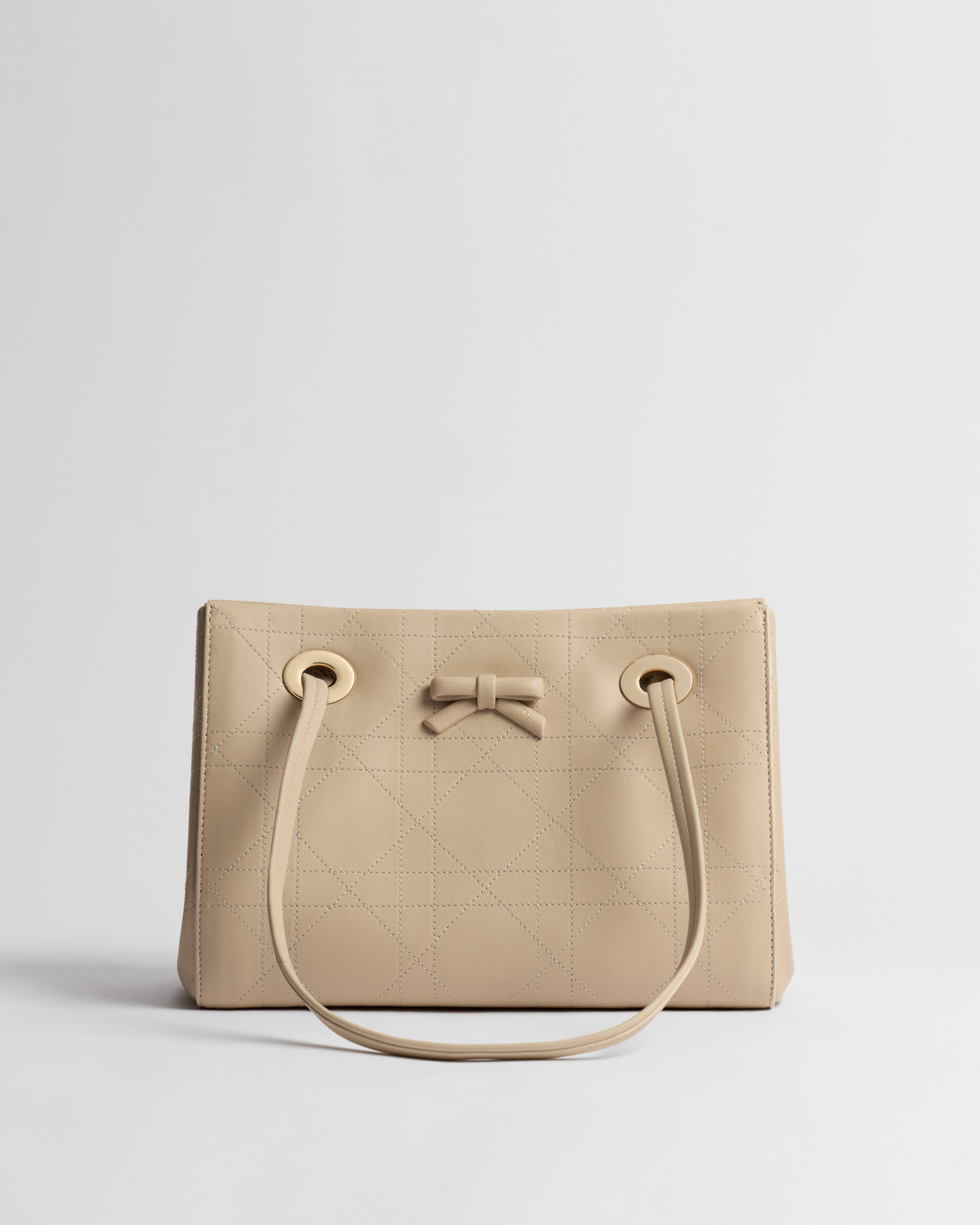 Small Dior Promenade Shopping Bag