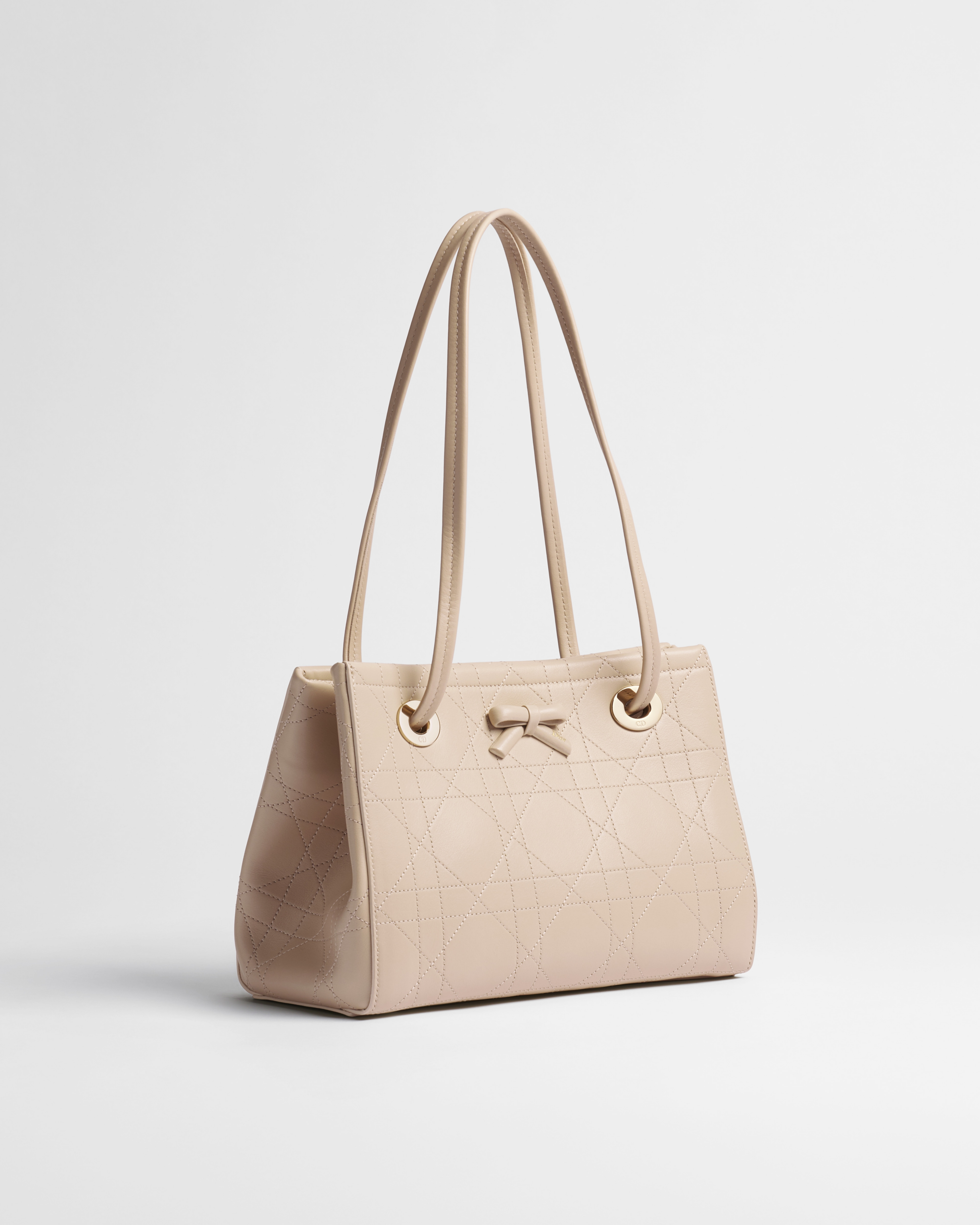 Small Dior Promenade Shopping Bag