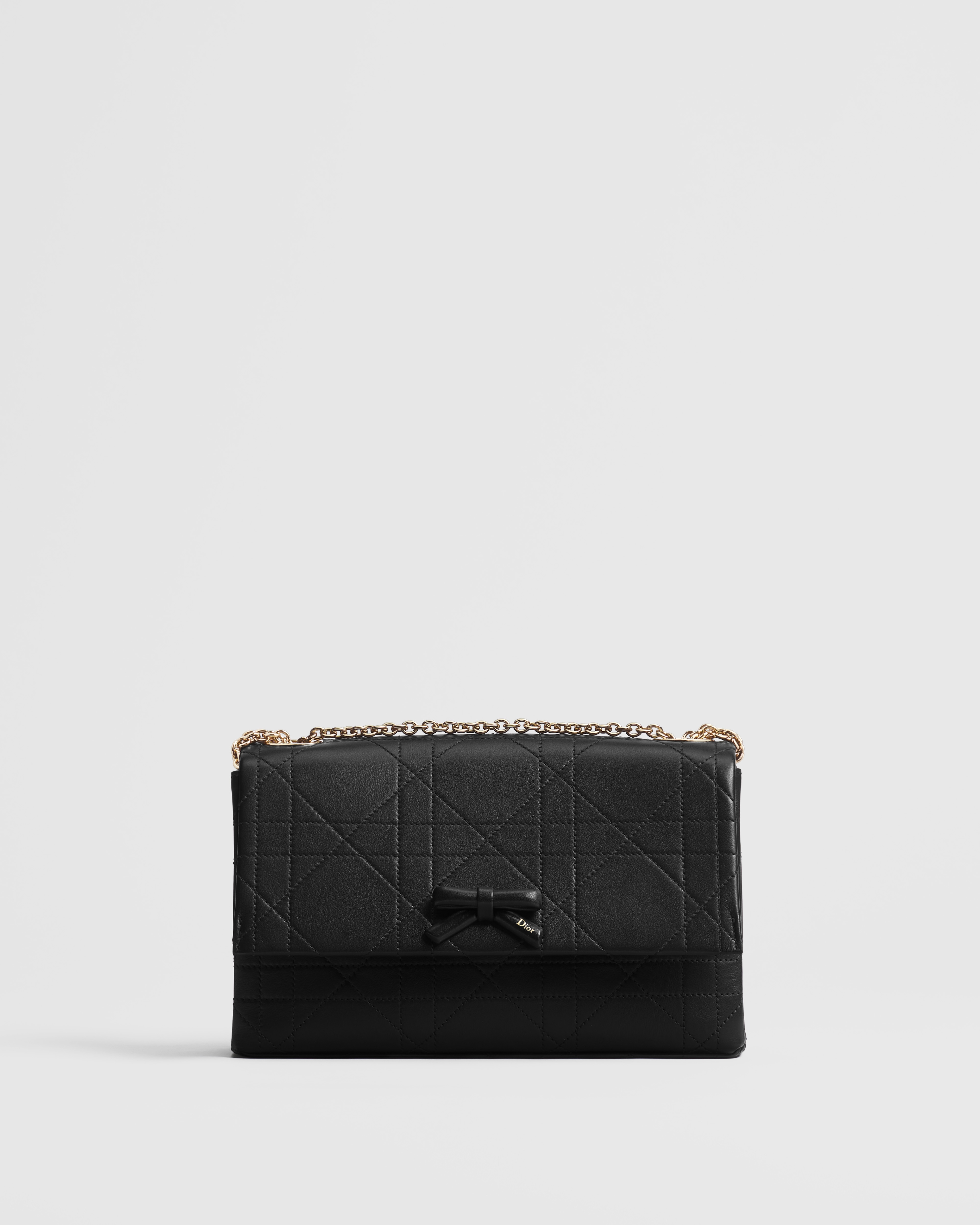 Borsa piccola Dior Promenade con pattina