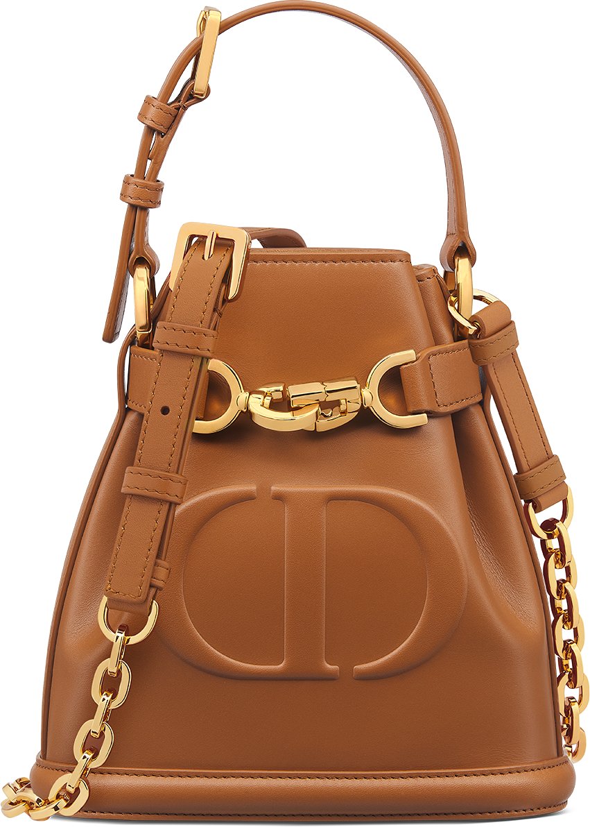 Kleine C est Dior Tasche Kalbsleder in Golden Saddle mit CD Pragung DIOR