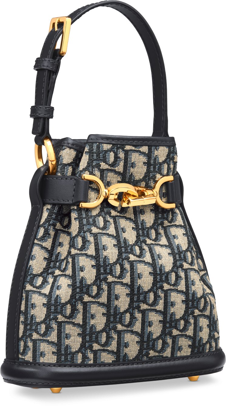 Dior monogram bucket bag shop